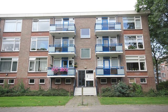 Gerard Doustraat 116, 7204 EX Zutphen, Nederland