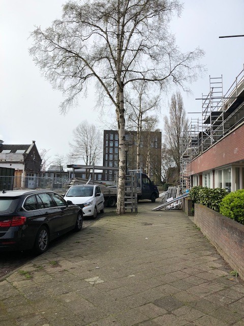 Raamstraat 5