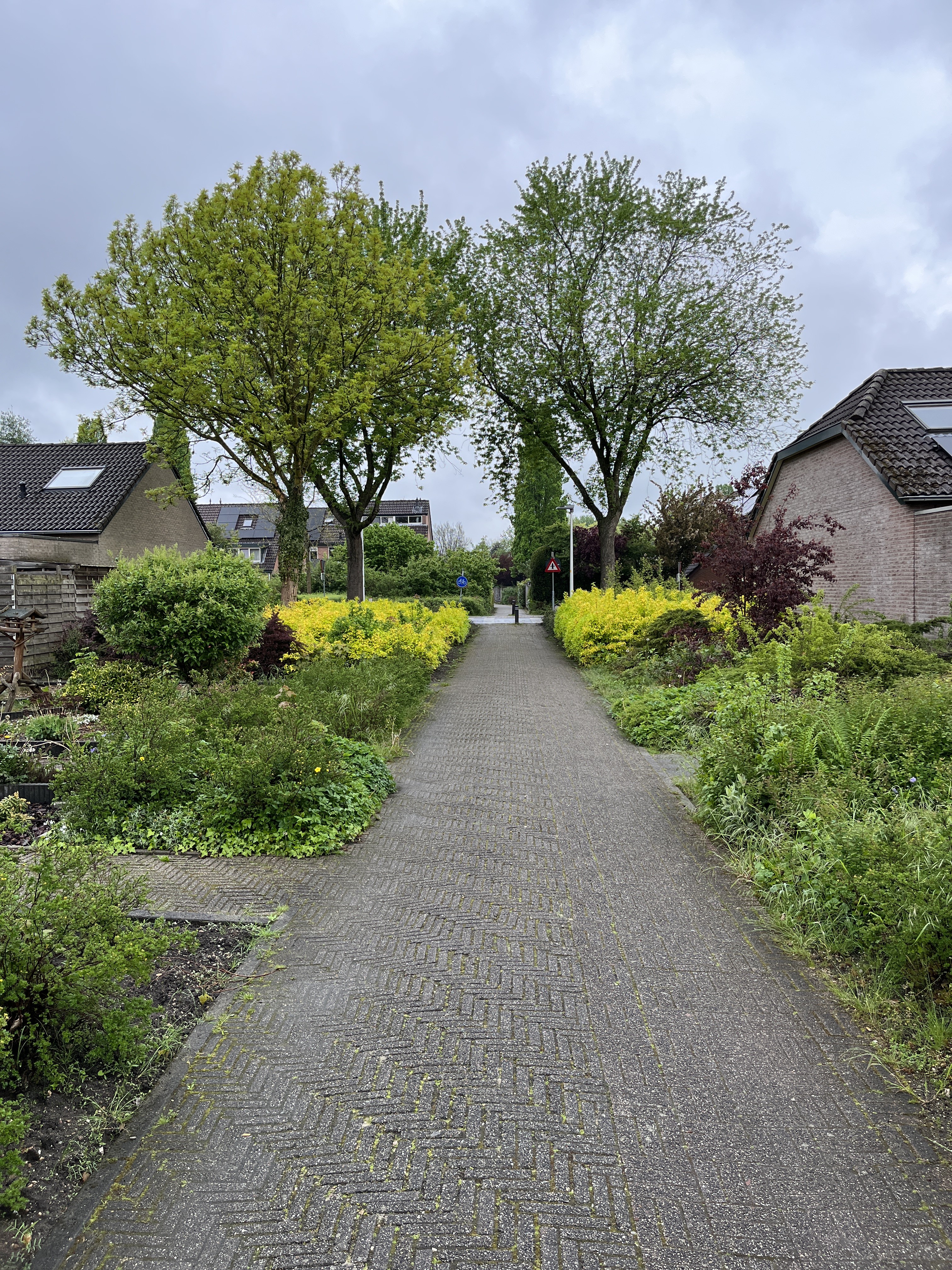 Werfakkerweg 8