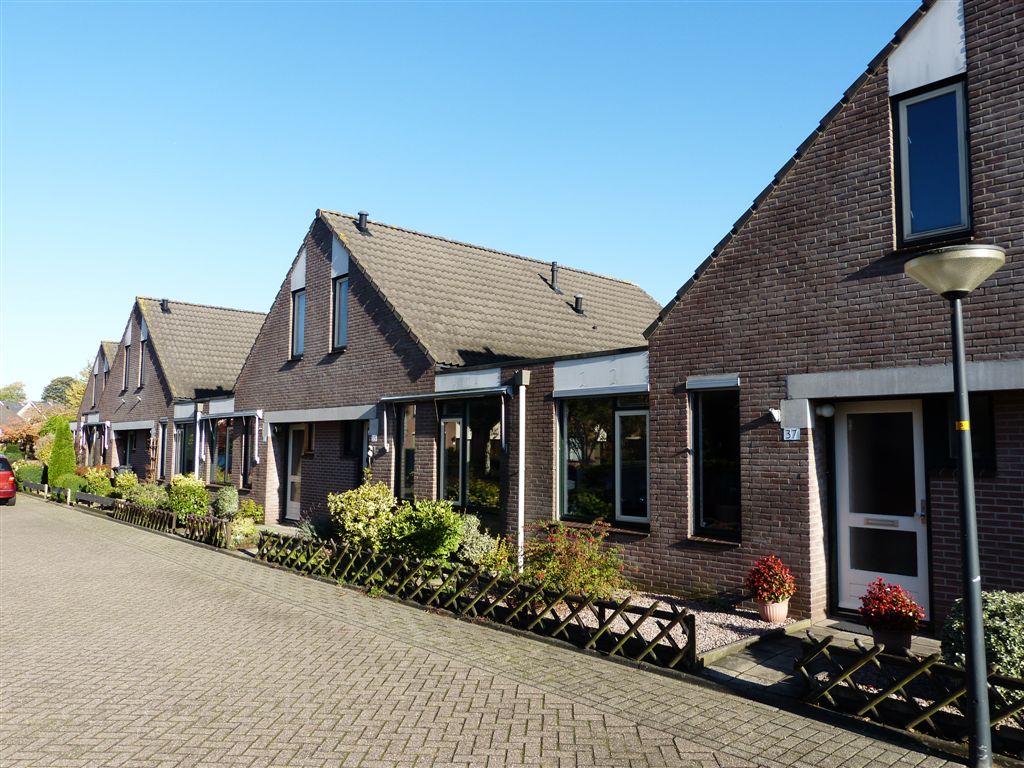 Zuiderlaan 31