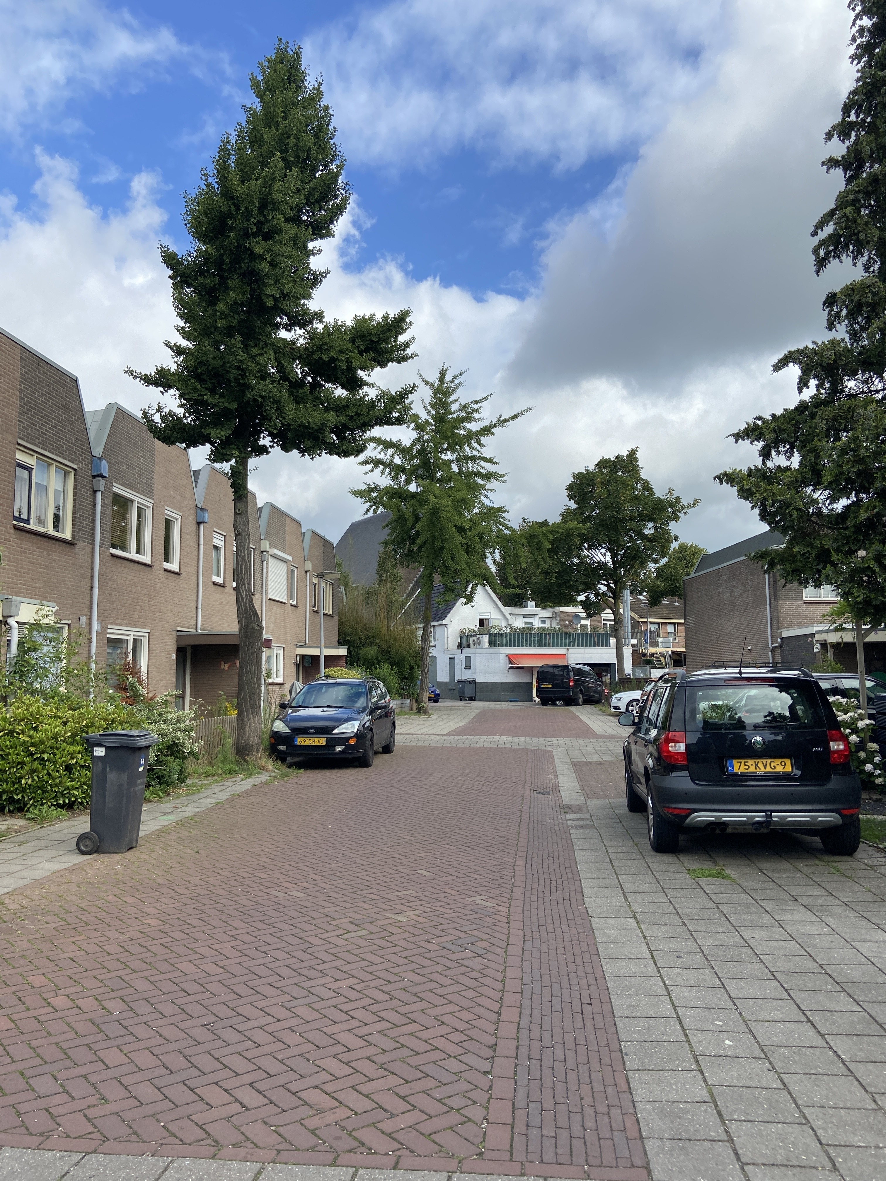 Van Zalingenstraat 9