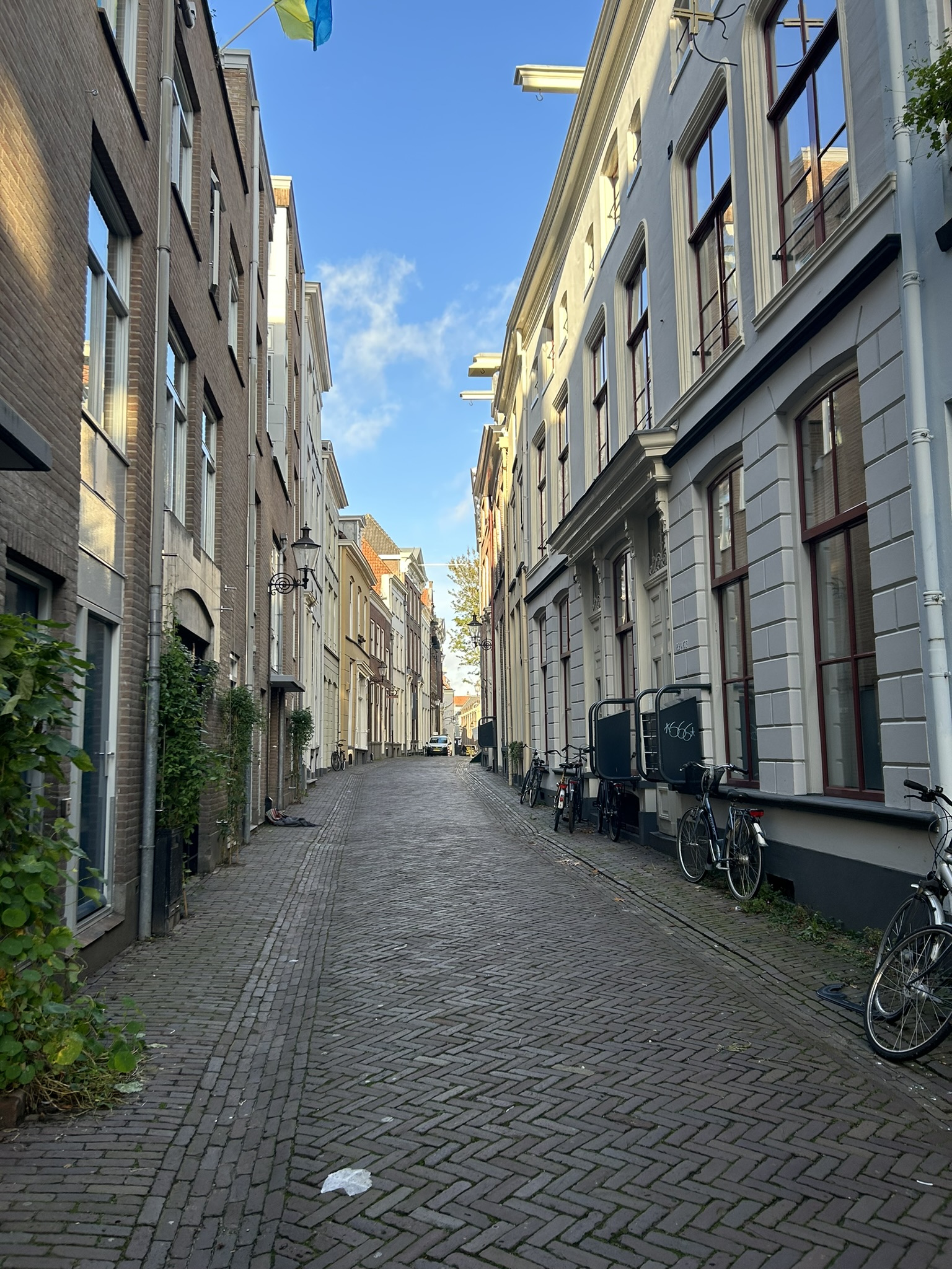 Assenstraat 115