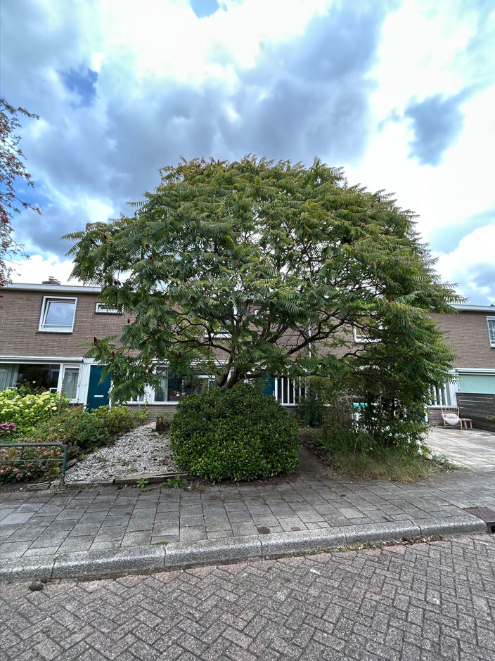 Robert Kochstraat 20, 7316 HD Apeldoorn, Nederland