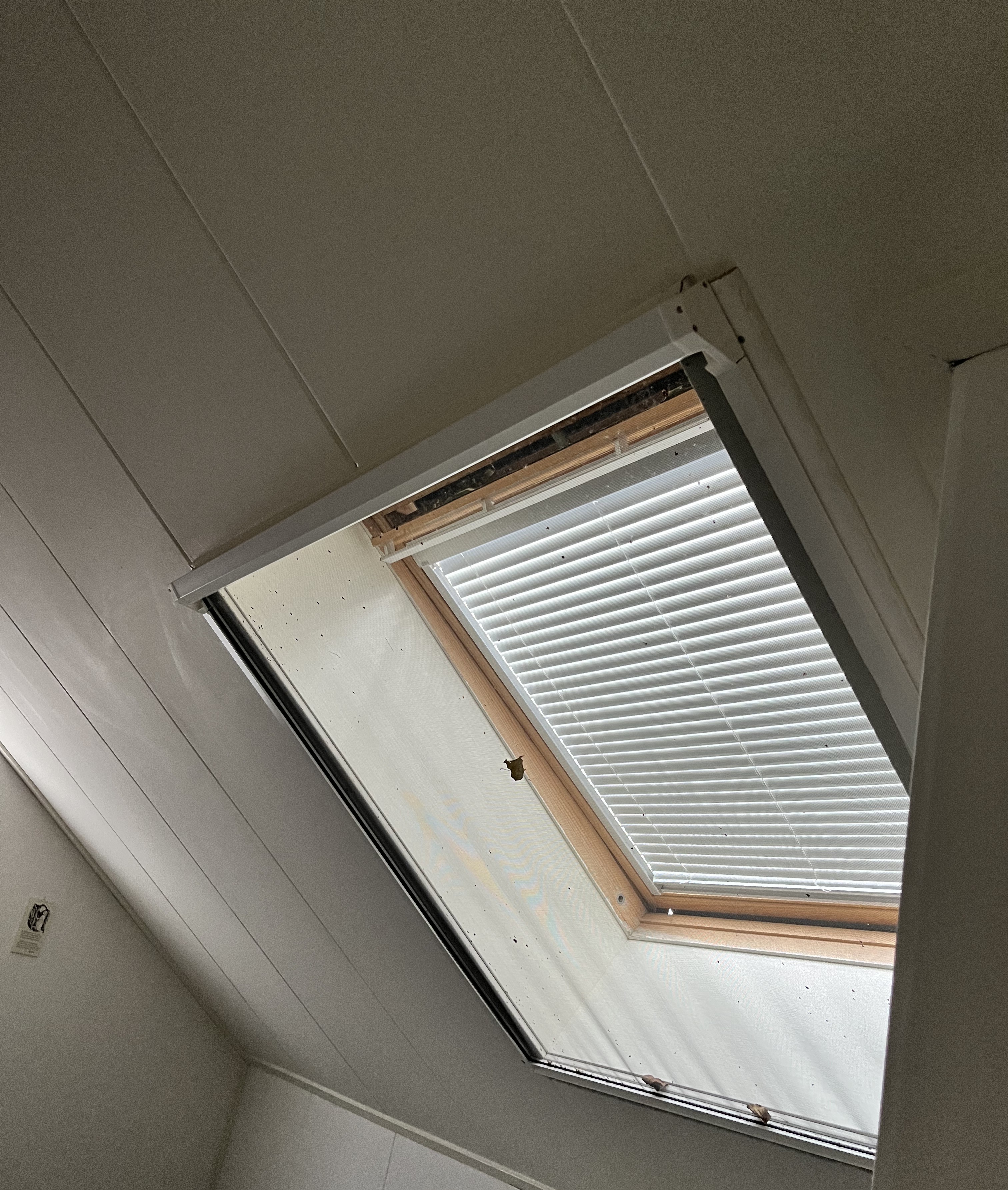 Rentmeestersveld 114