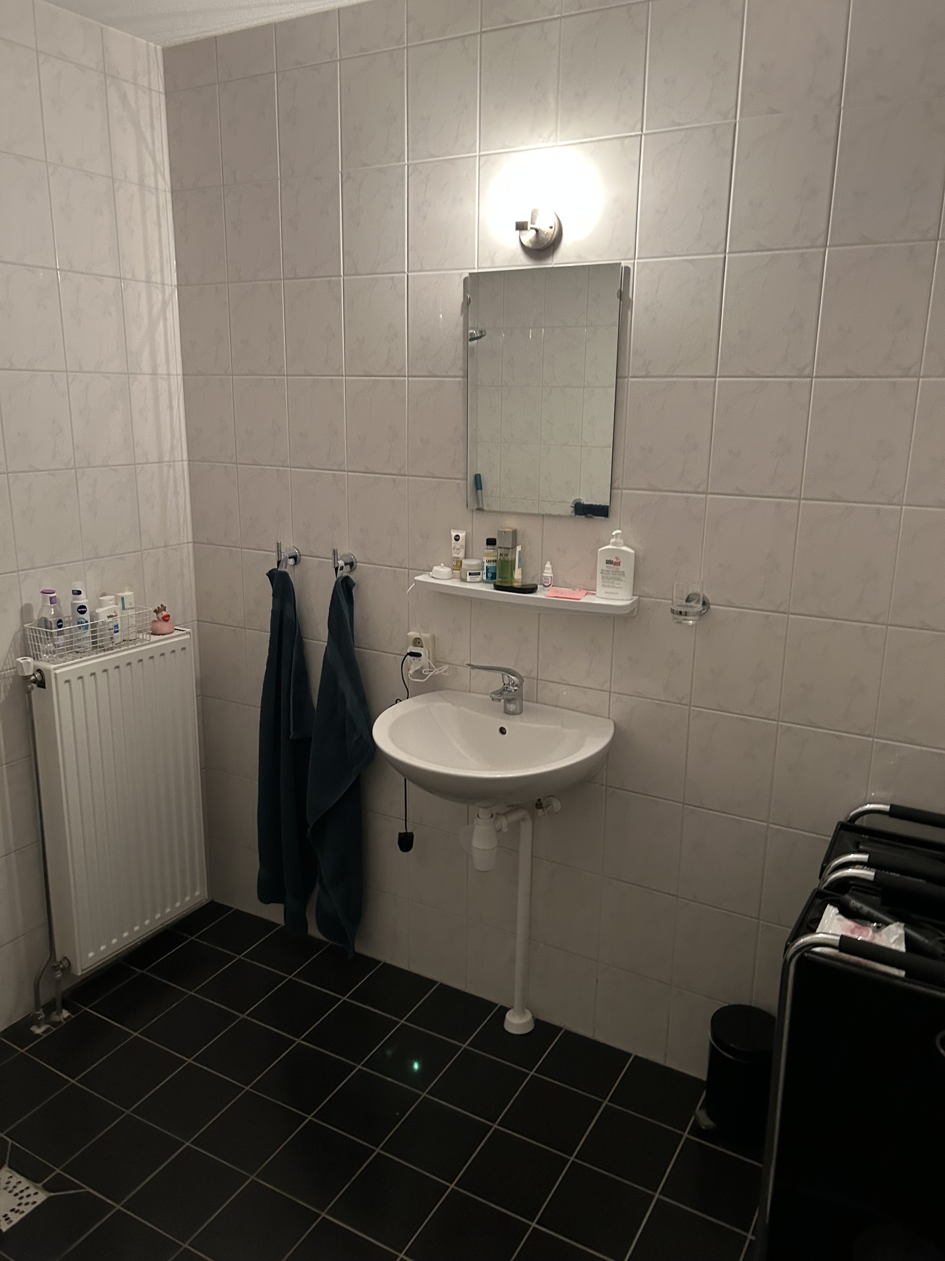 Bernard Lievegoedstraat 102