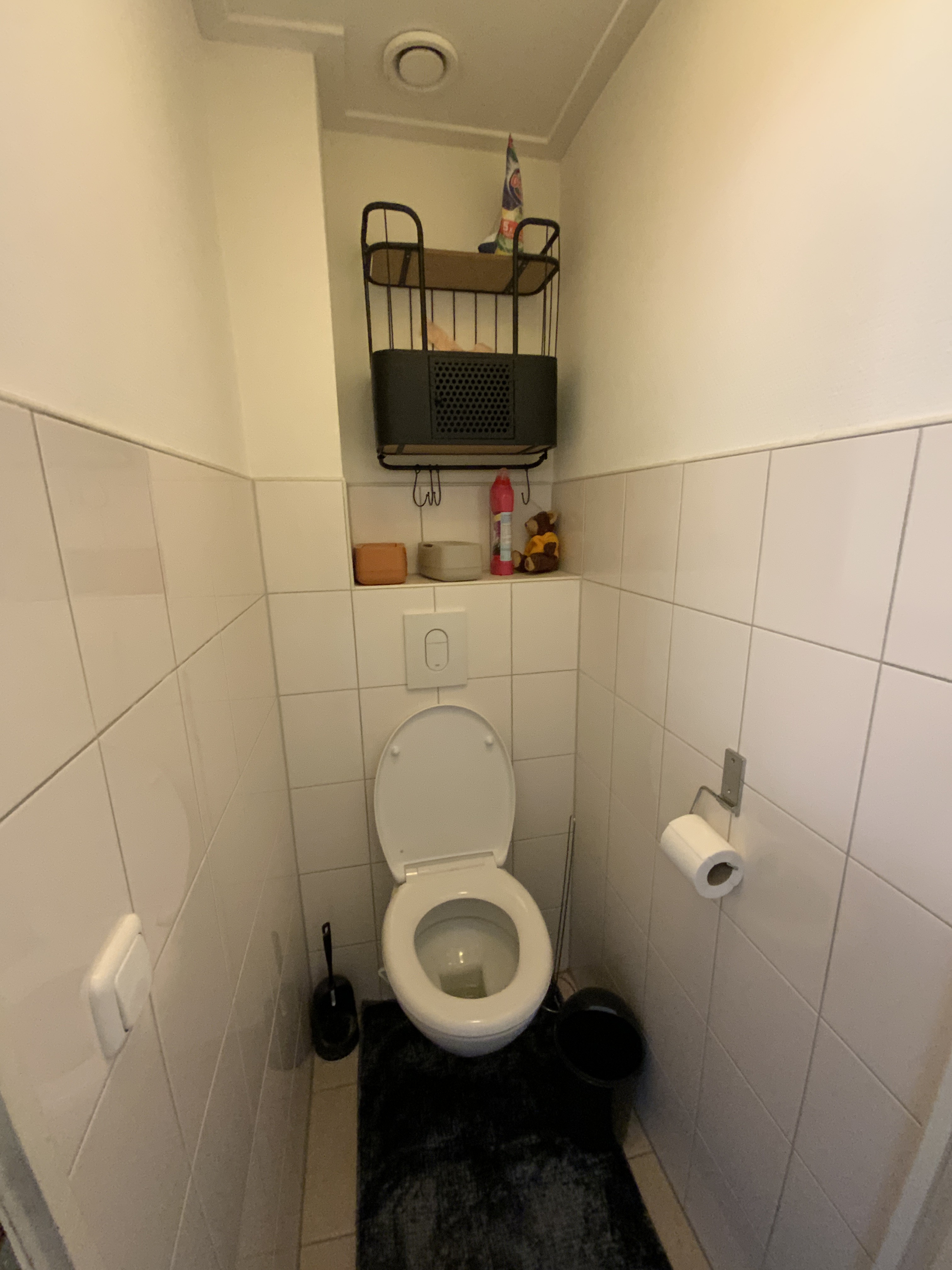 Bieshorstlaan 43