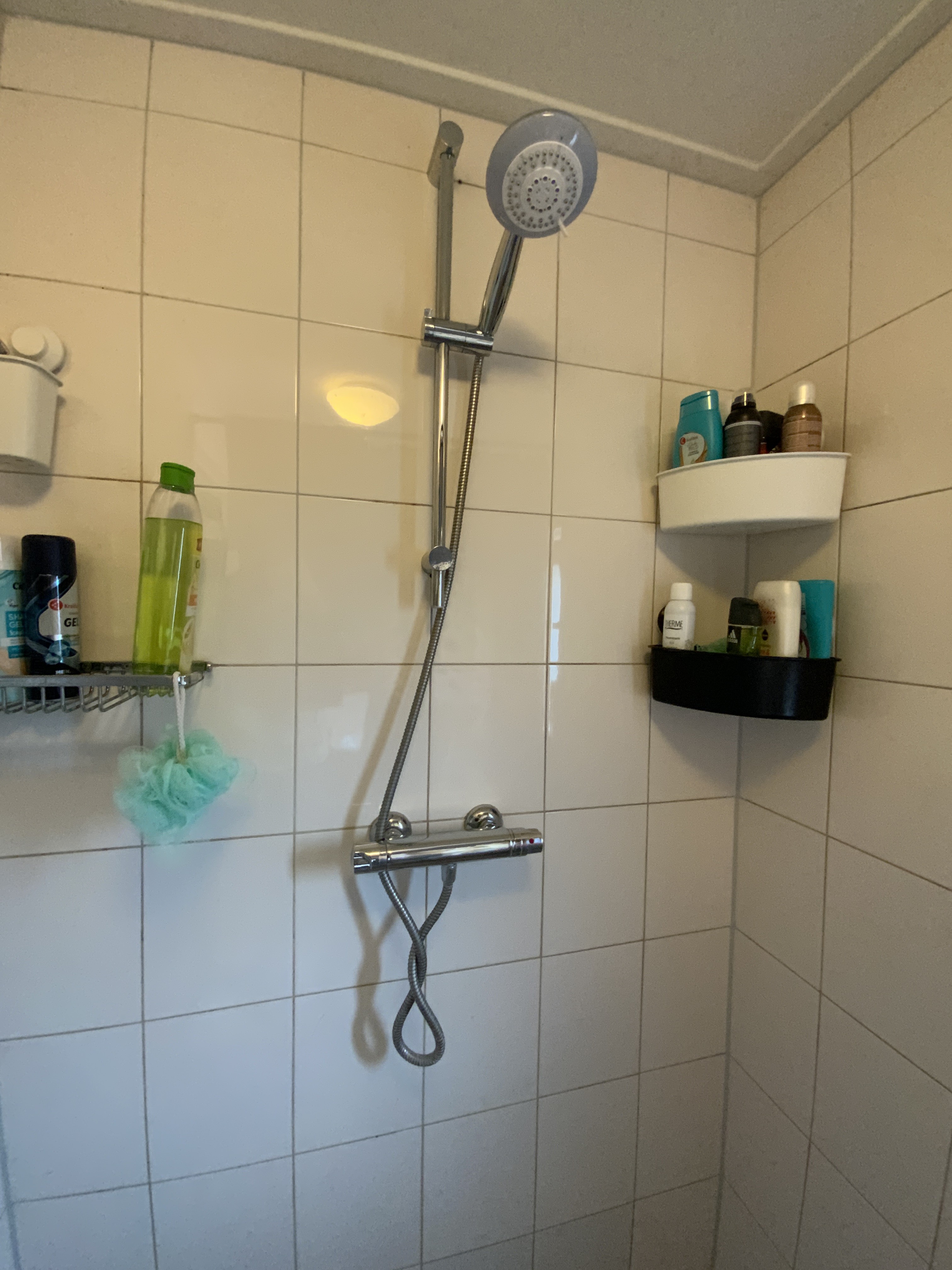 Bieshorstlaan 43