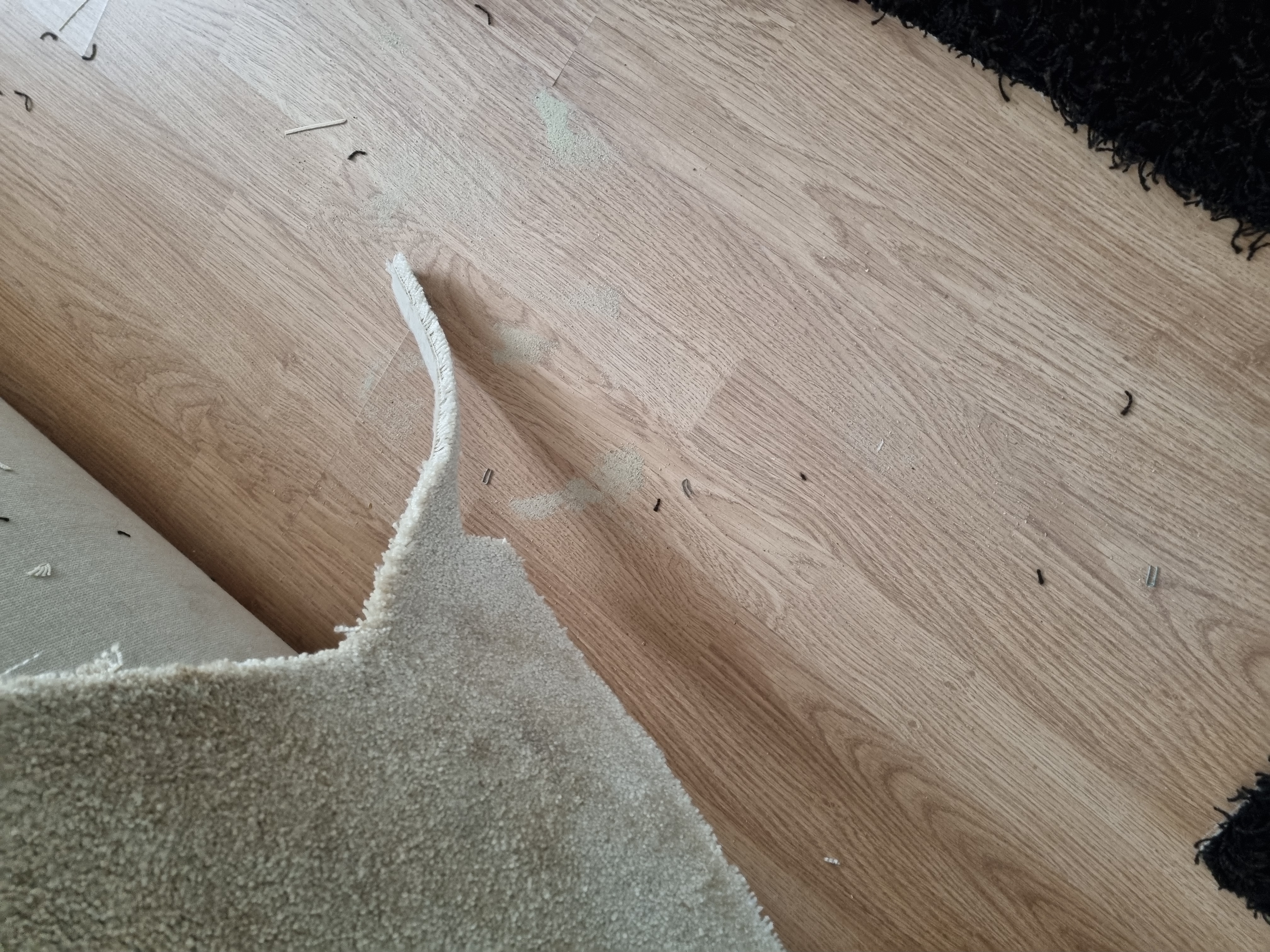 Hof van Colmschate 46