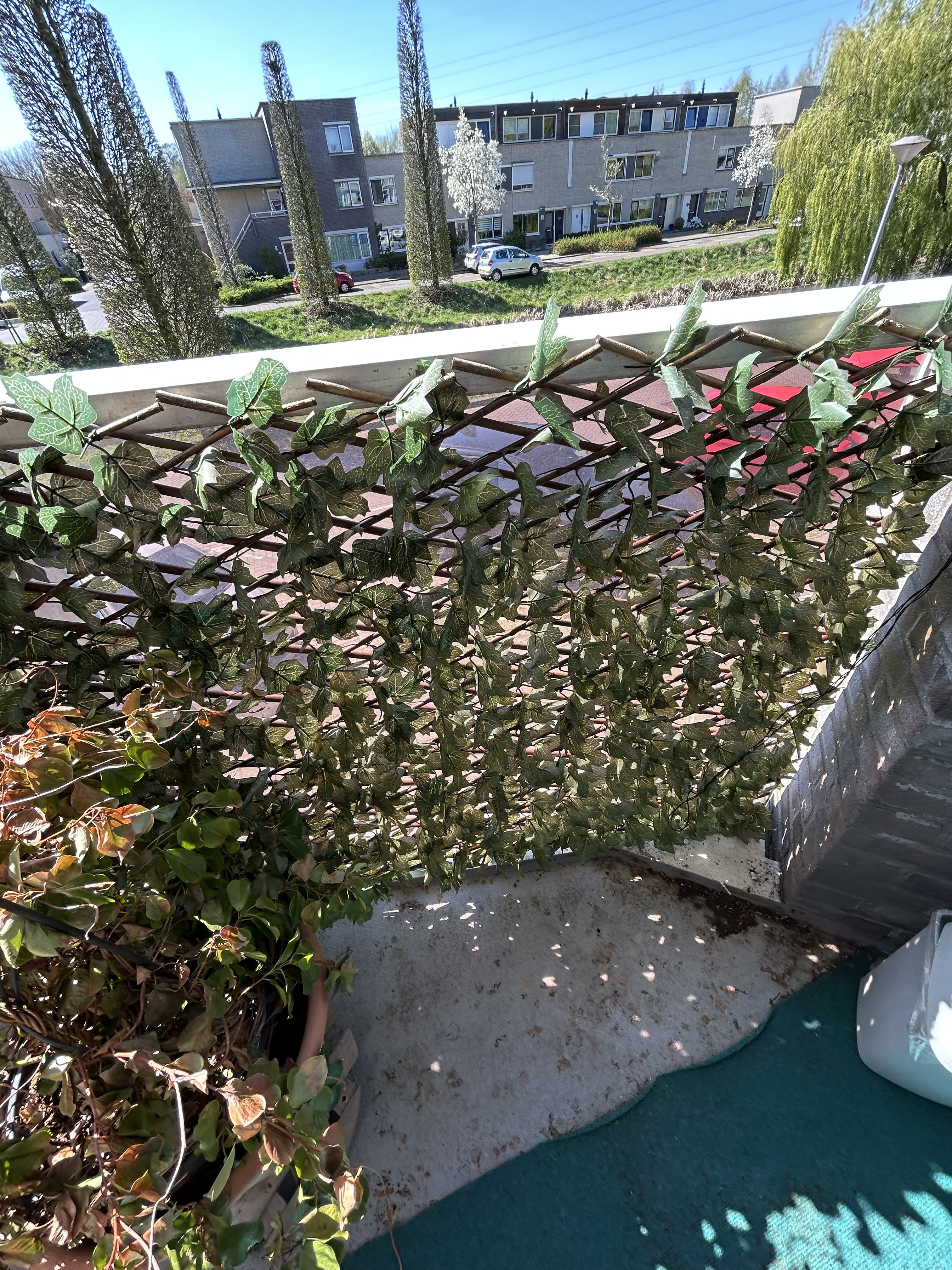 Ida Gerhardtsingel 21