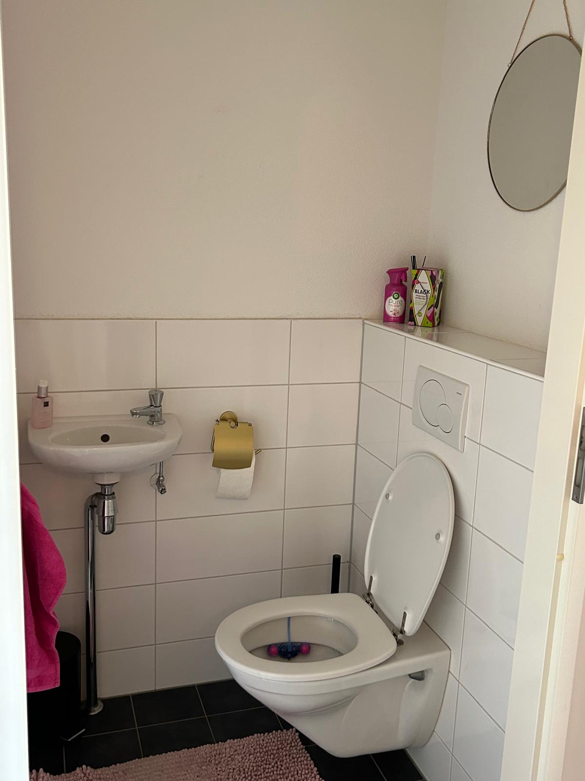 Ruys de Beerenbrouckstraat 162