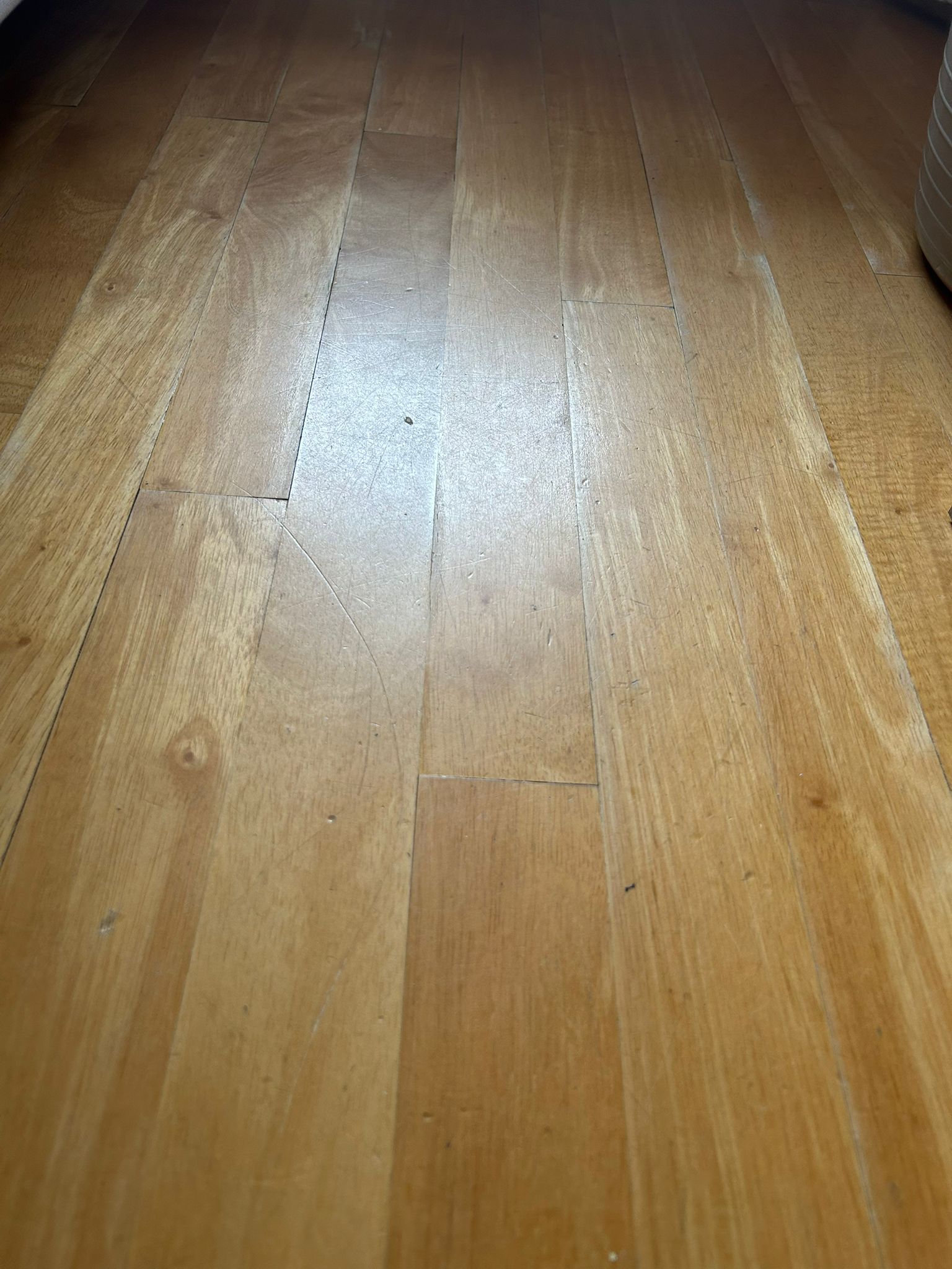 De Savornin Lohmanstraat 26