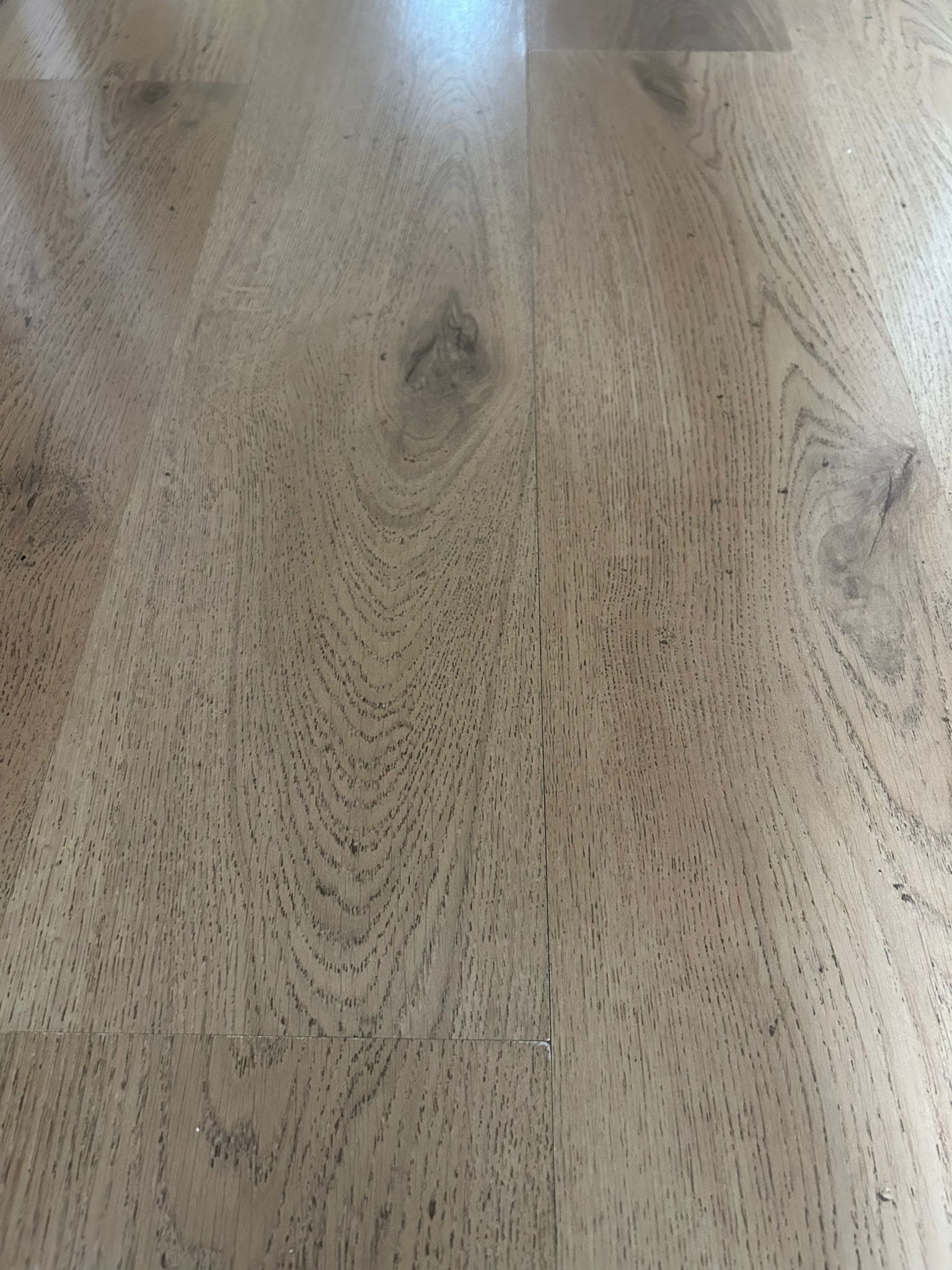 De Savornin Lohmanstraat 26