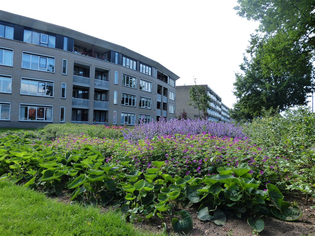 Roekenhof 31, 7331 JX Apeldoorn, Nederland