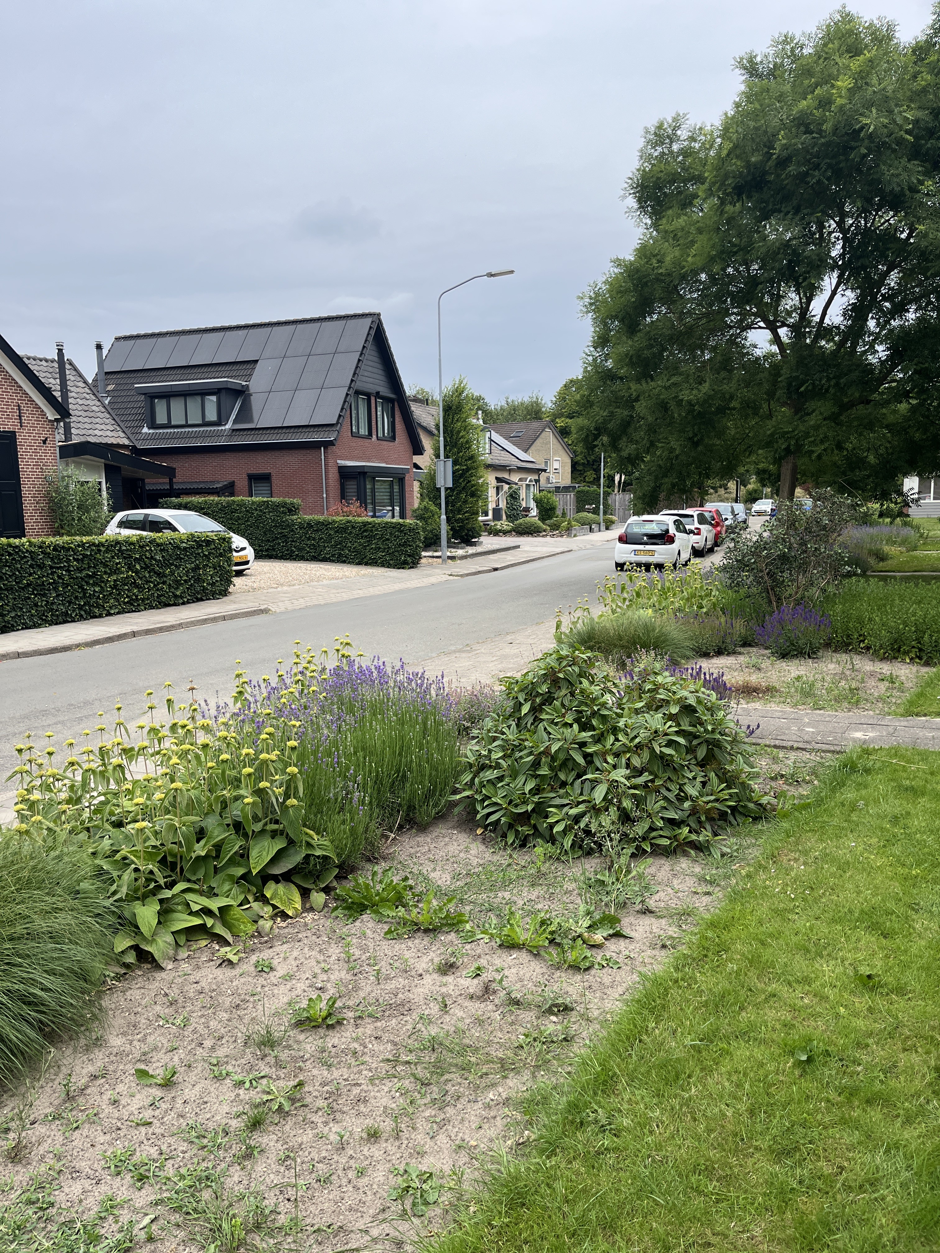 Cortenoeverseweg 38
