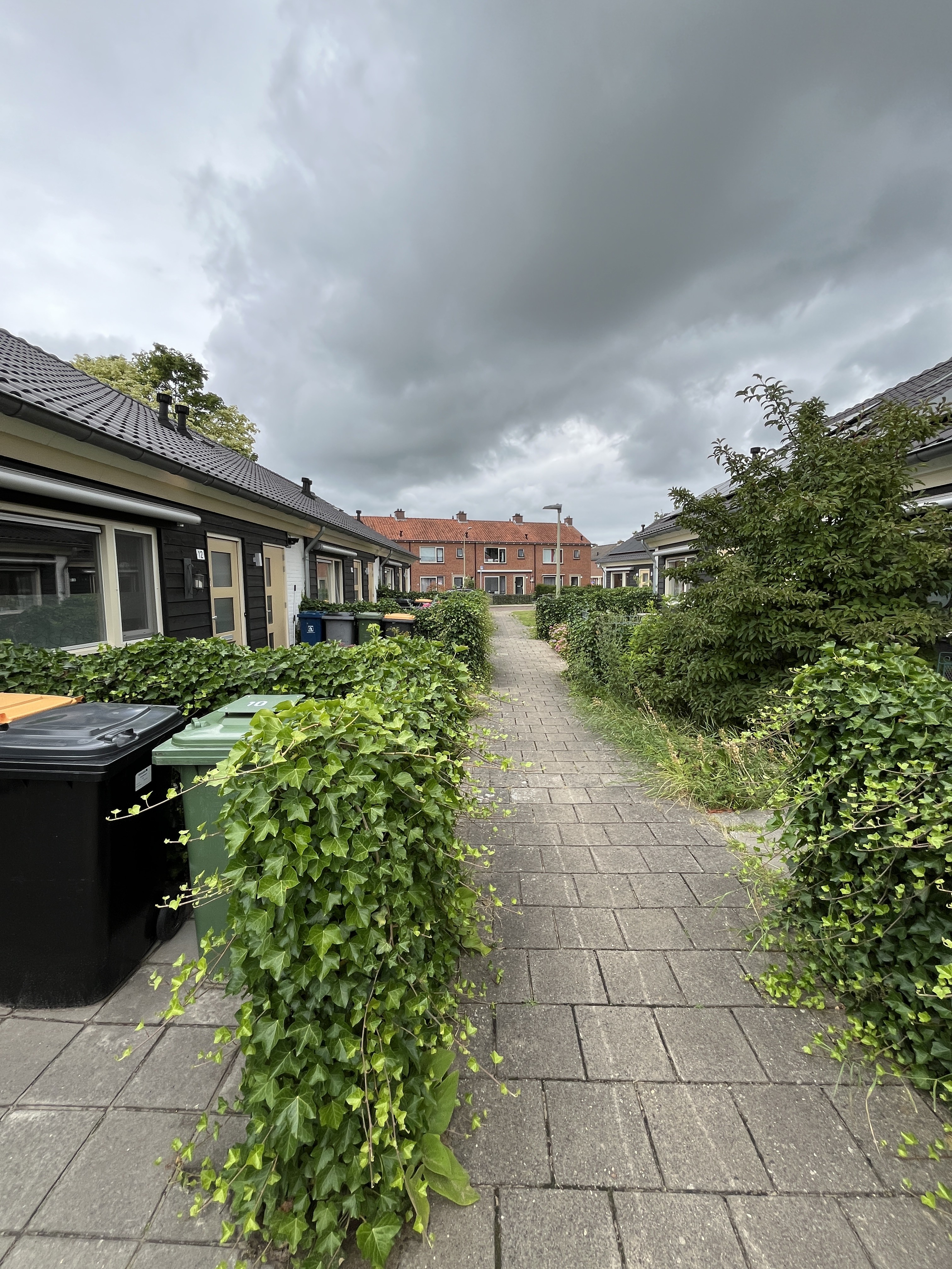 Karekietstraat 10