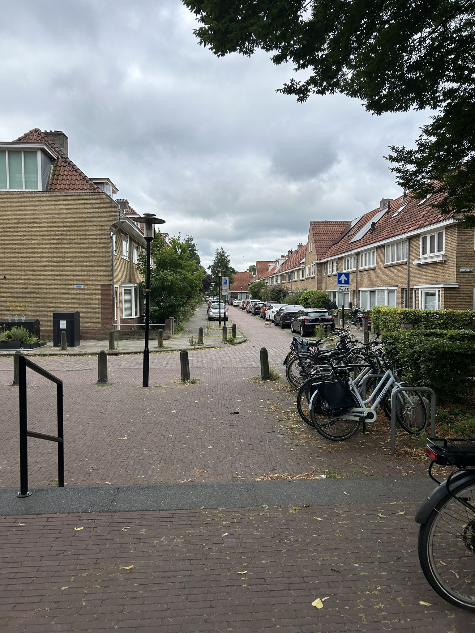 Laboratoriumplein 60