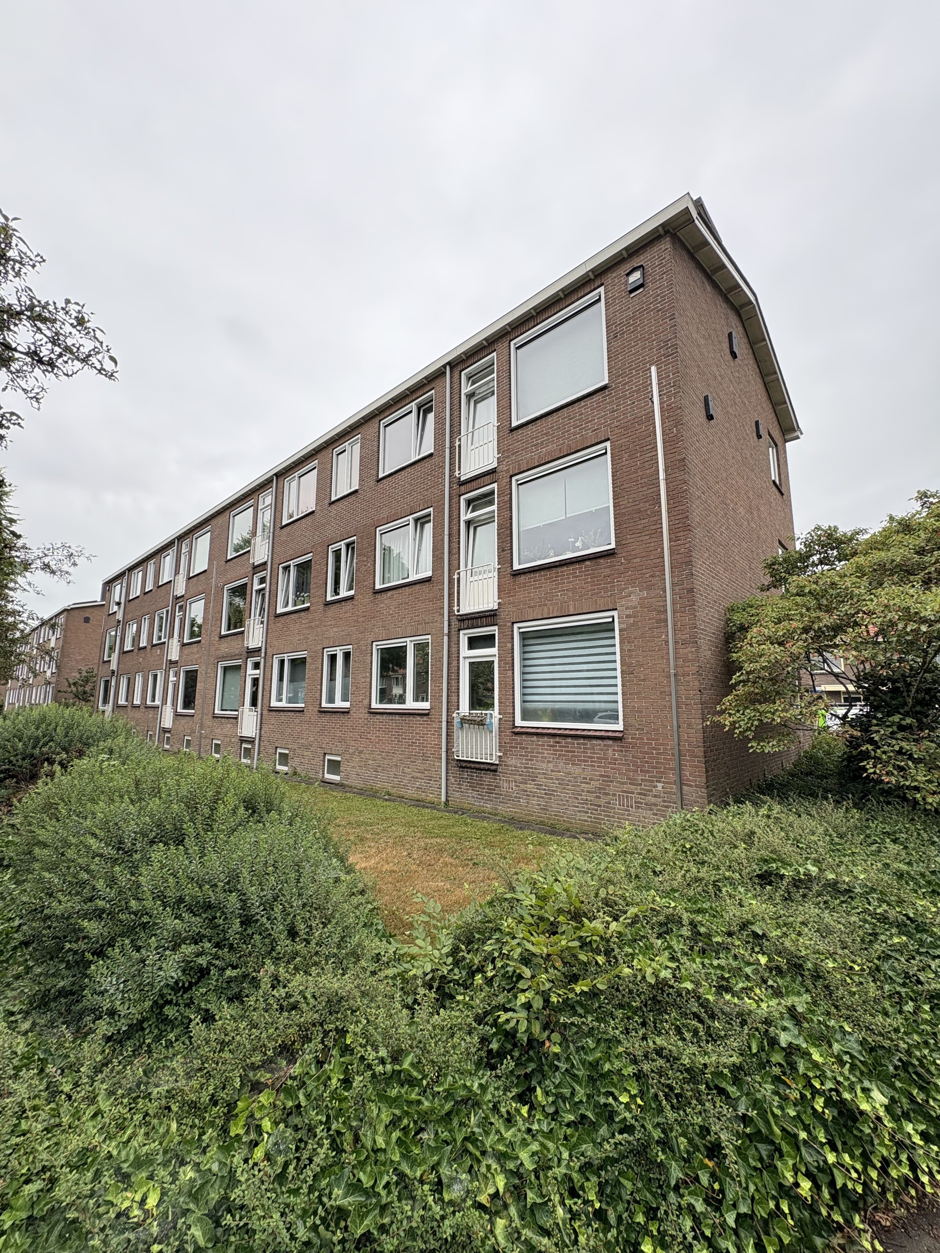 Spijkerpad 3