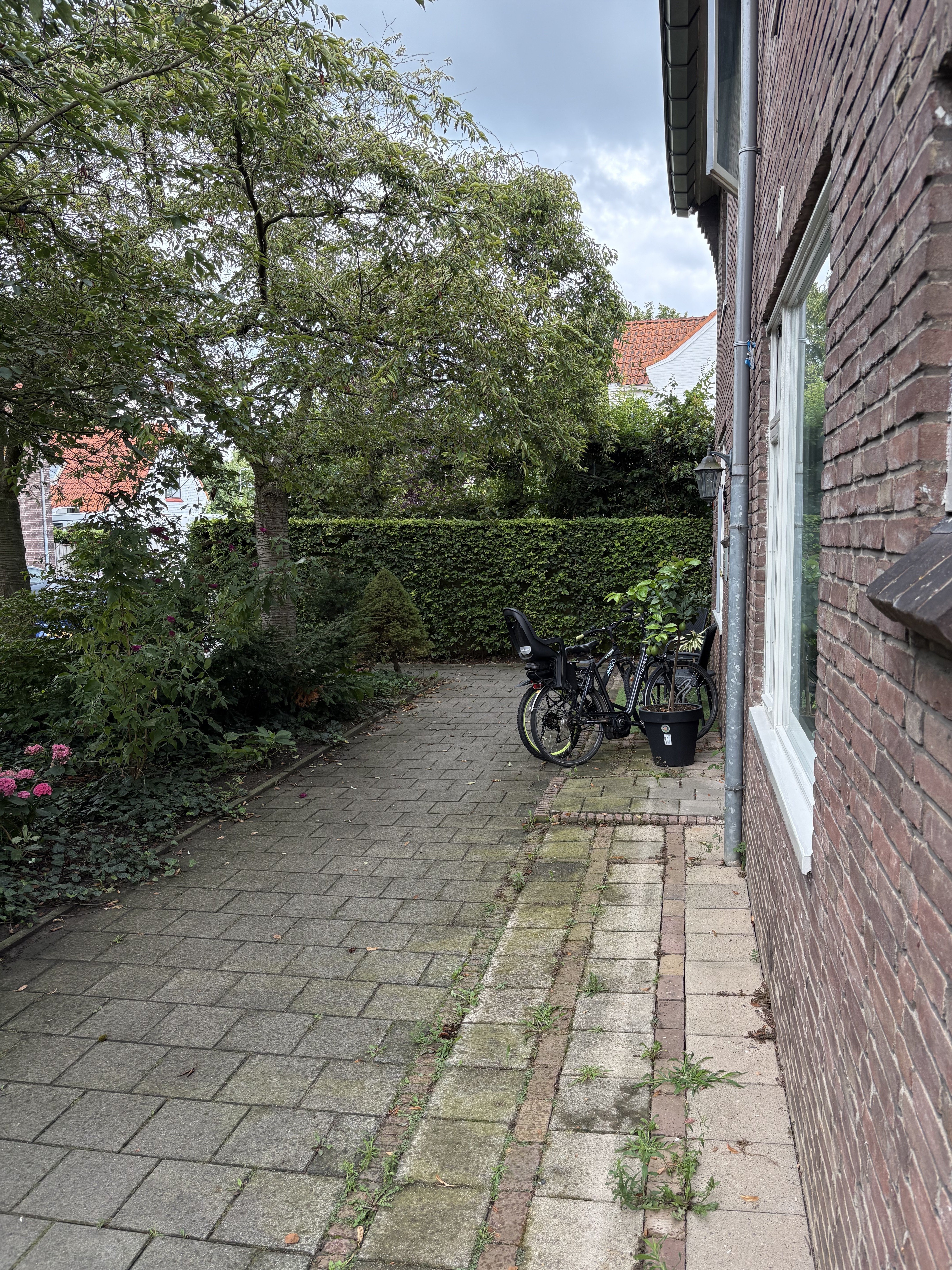 Frans Halsstraat 66