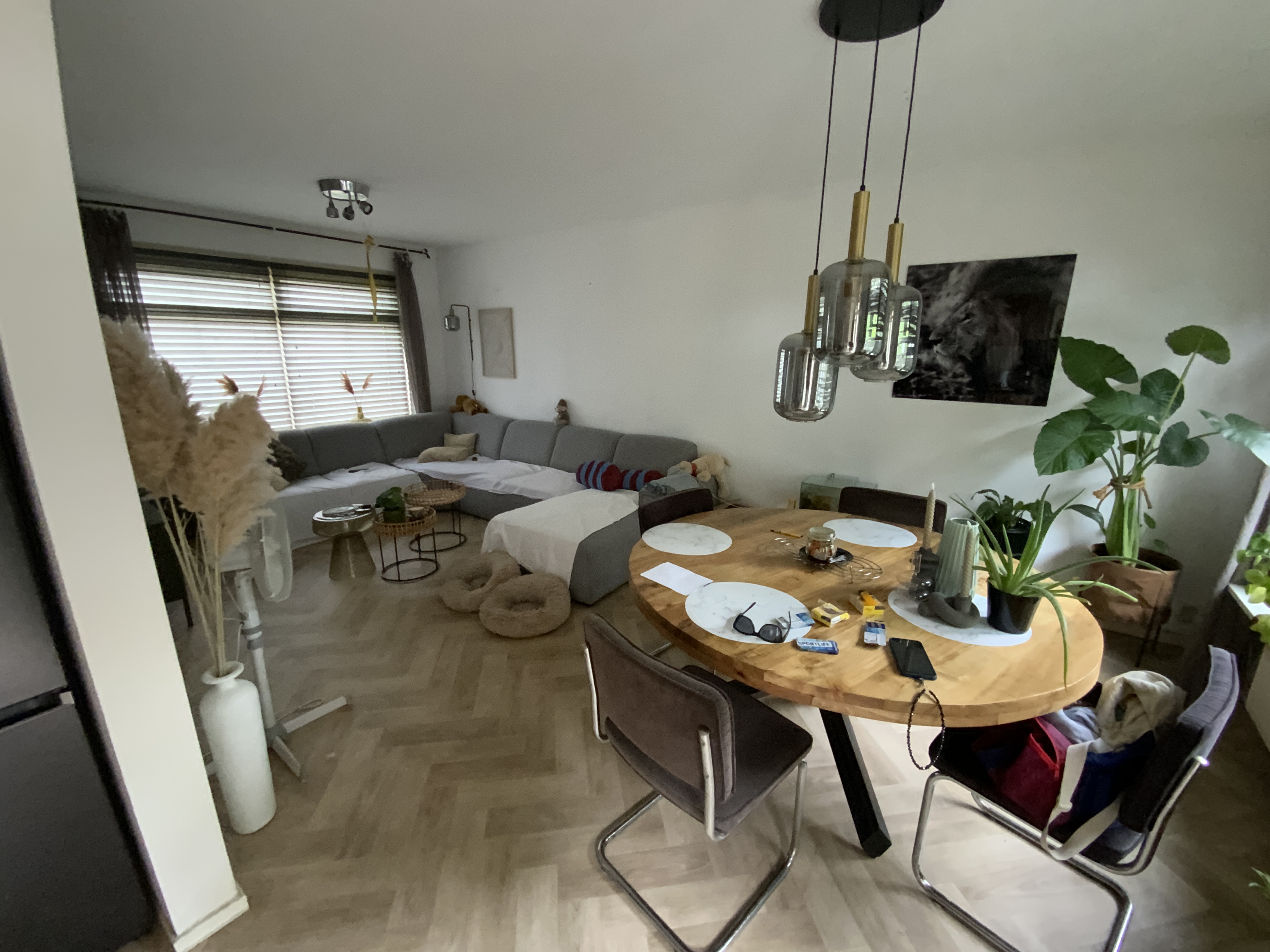 Petrus Paulus Rubensstraat 5