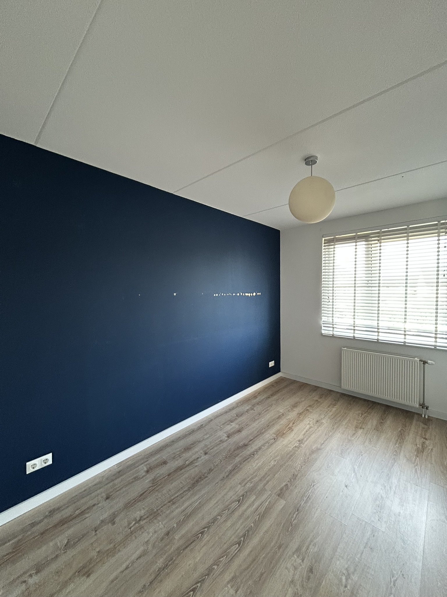 Janus Baulingstraat 41