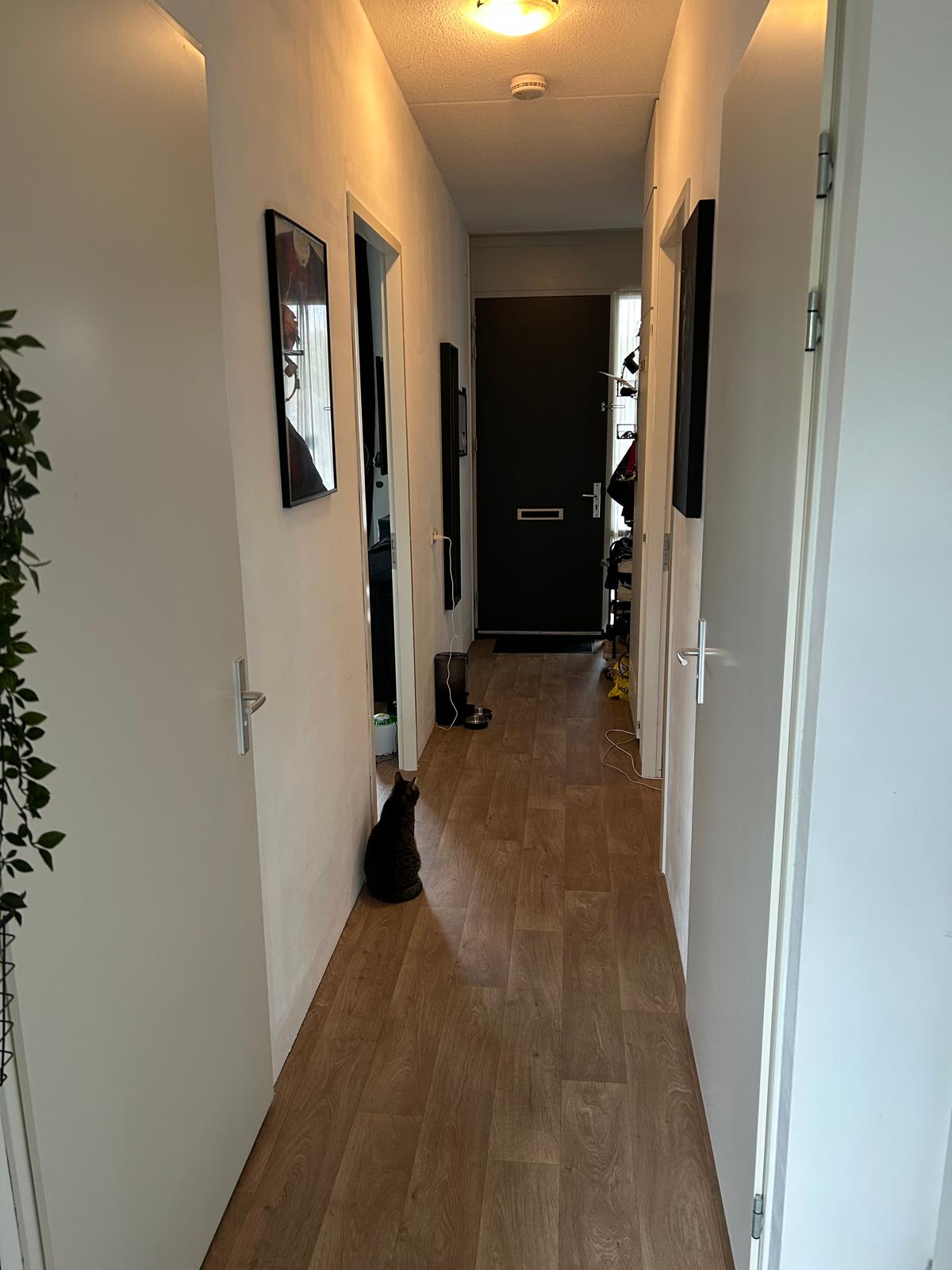 Van Boecholtstraat 46