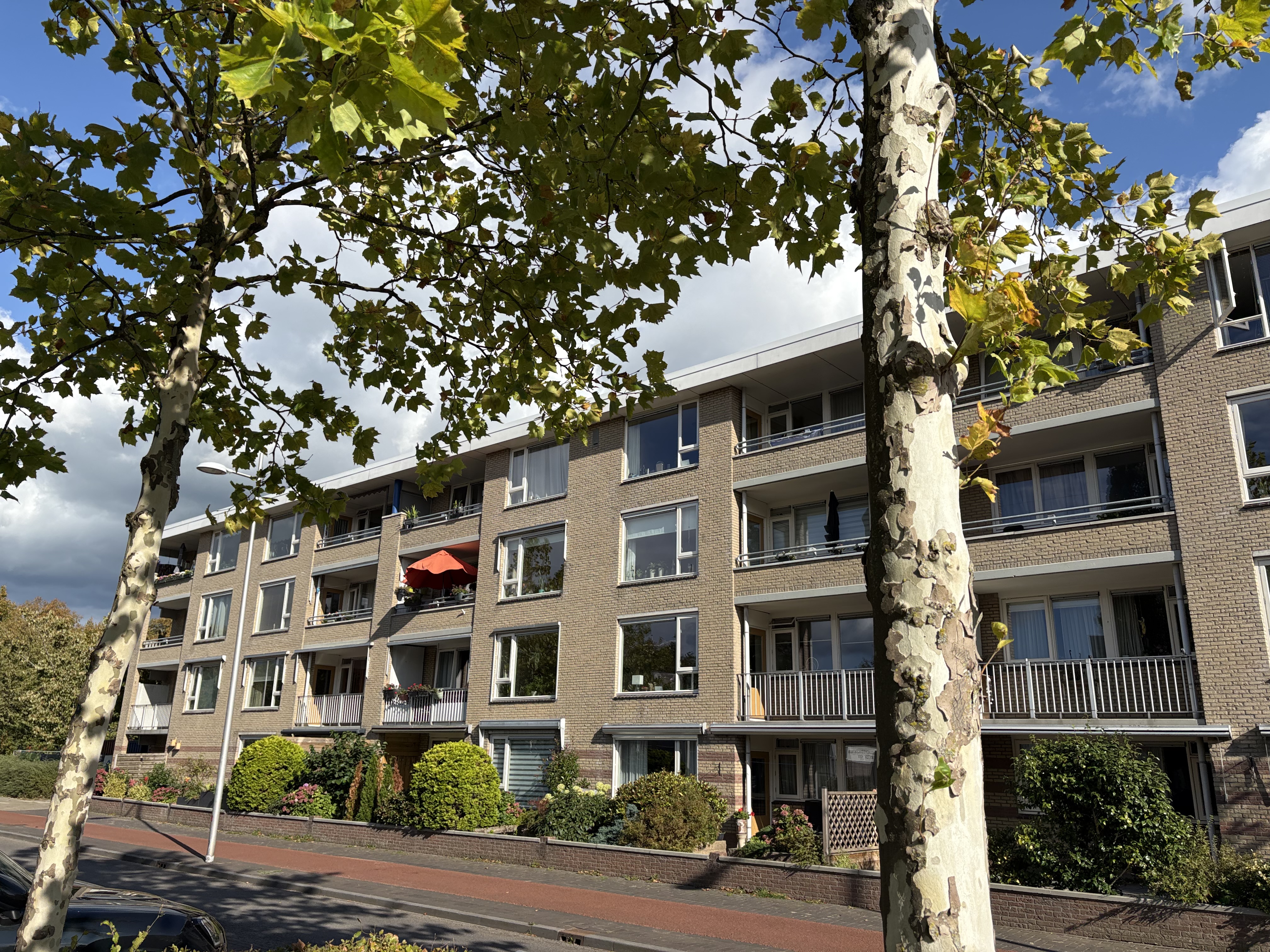 Kunstenaarshoeve 240