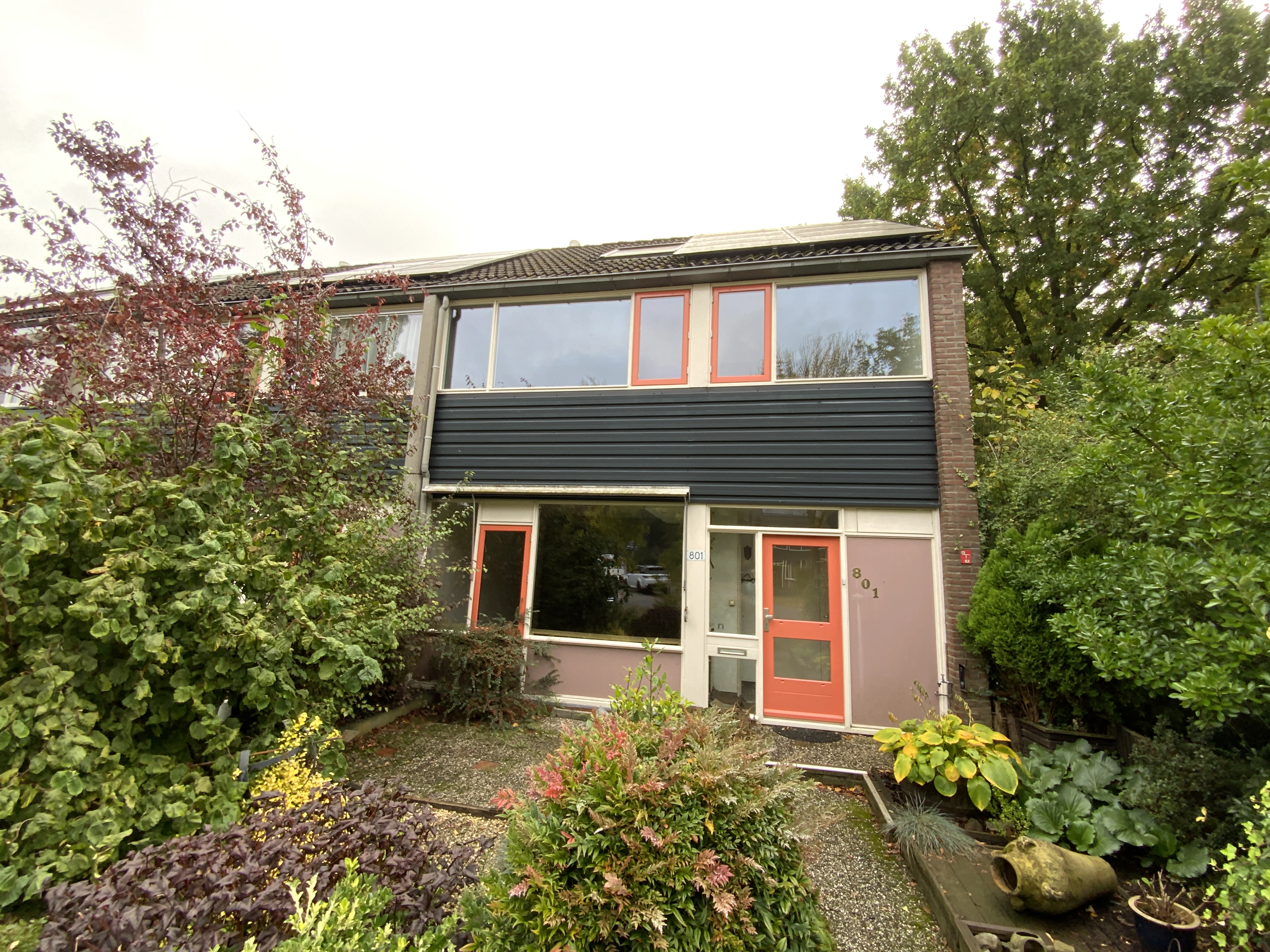 Houtsnijdershorst 801