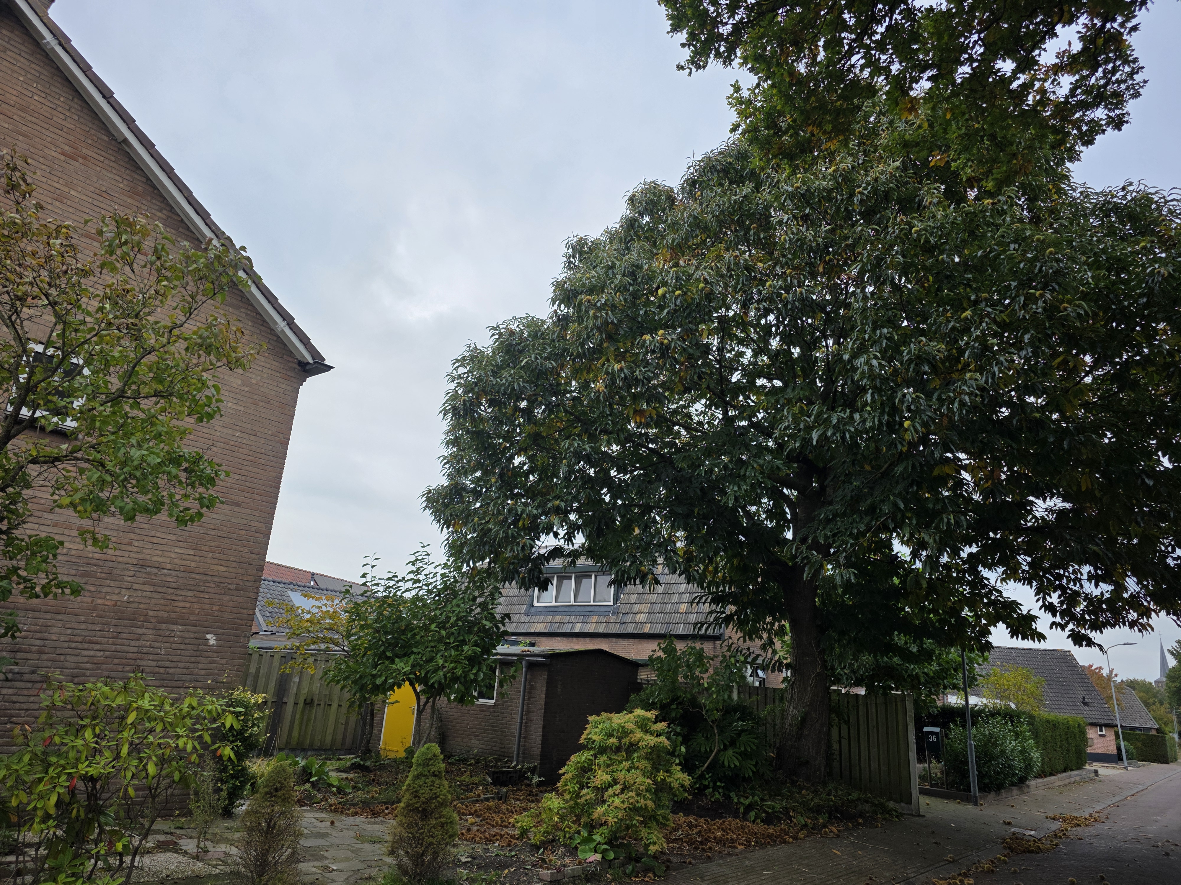 Helena H. Wilkensstraat 41