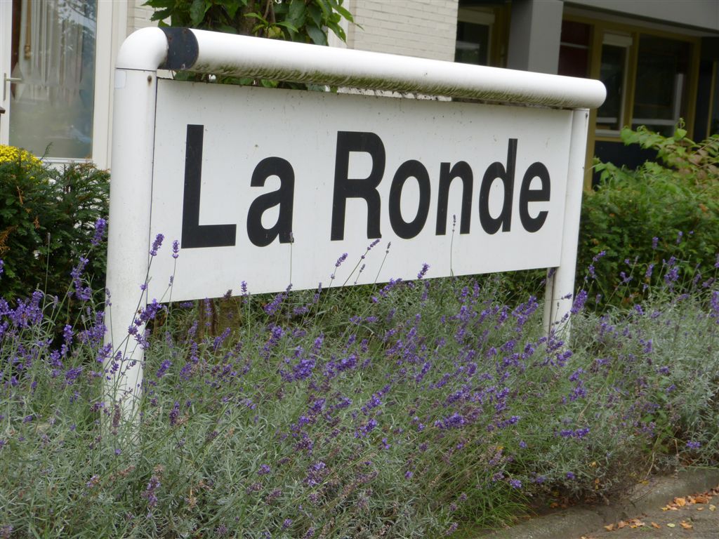 Laan van de Mensenrechten 266