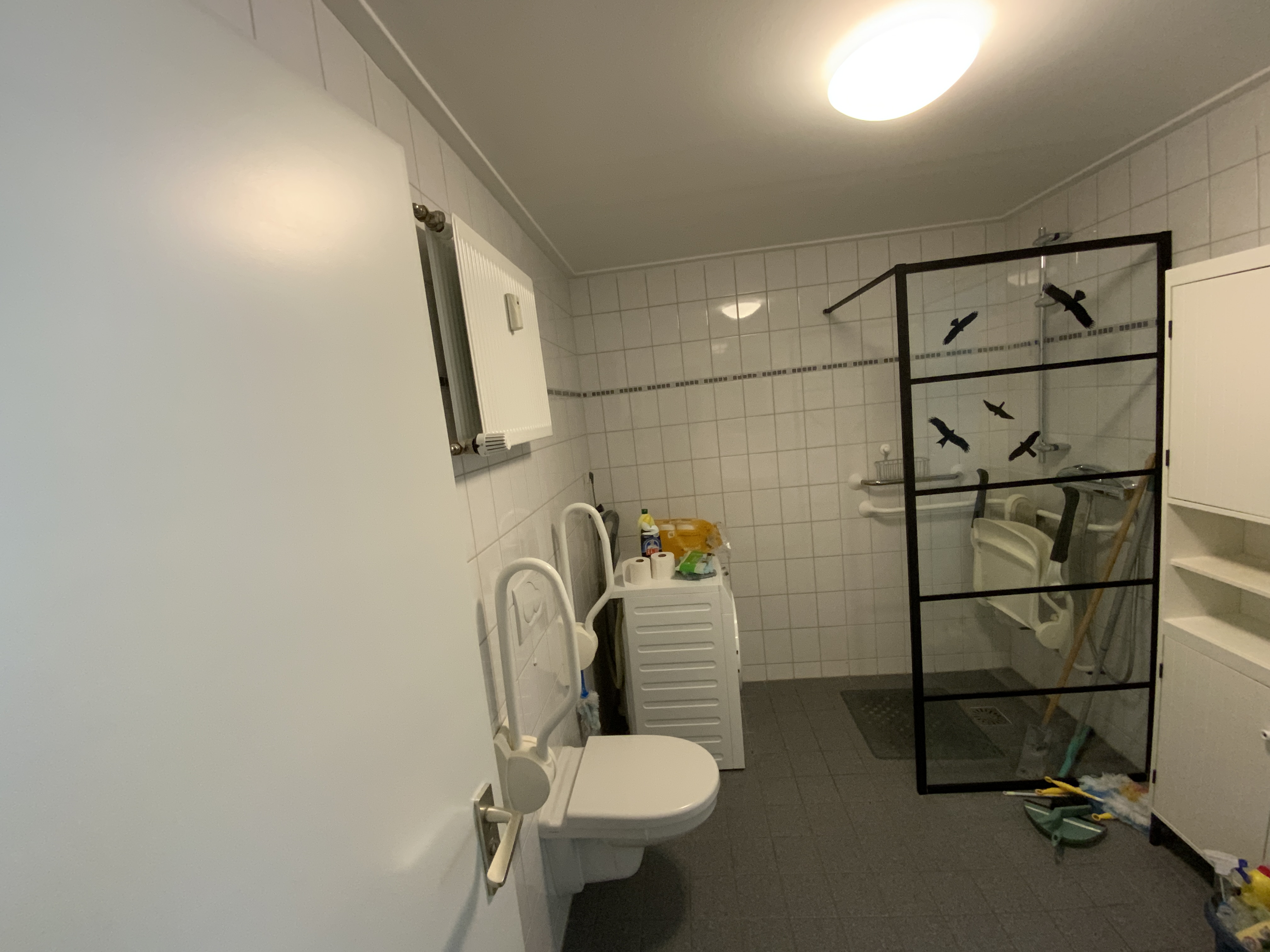 Koning Lodewijklaan 245