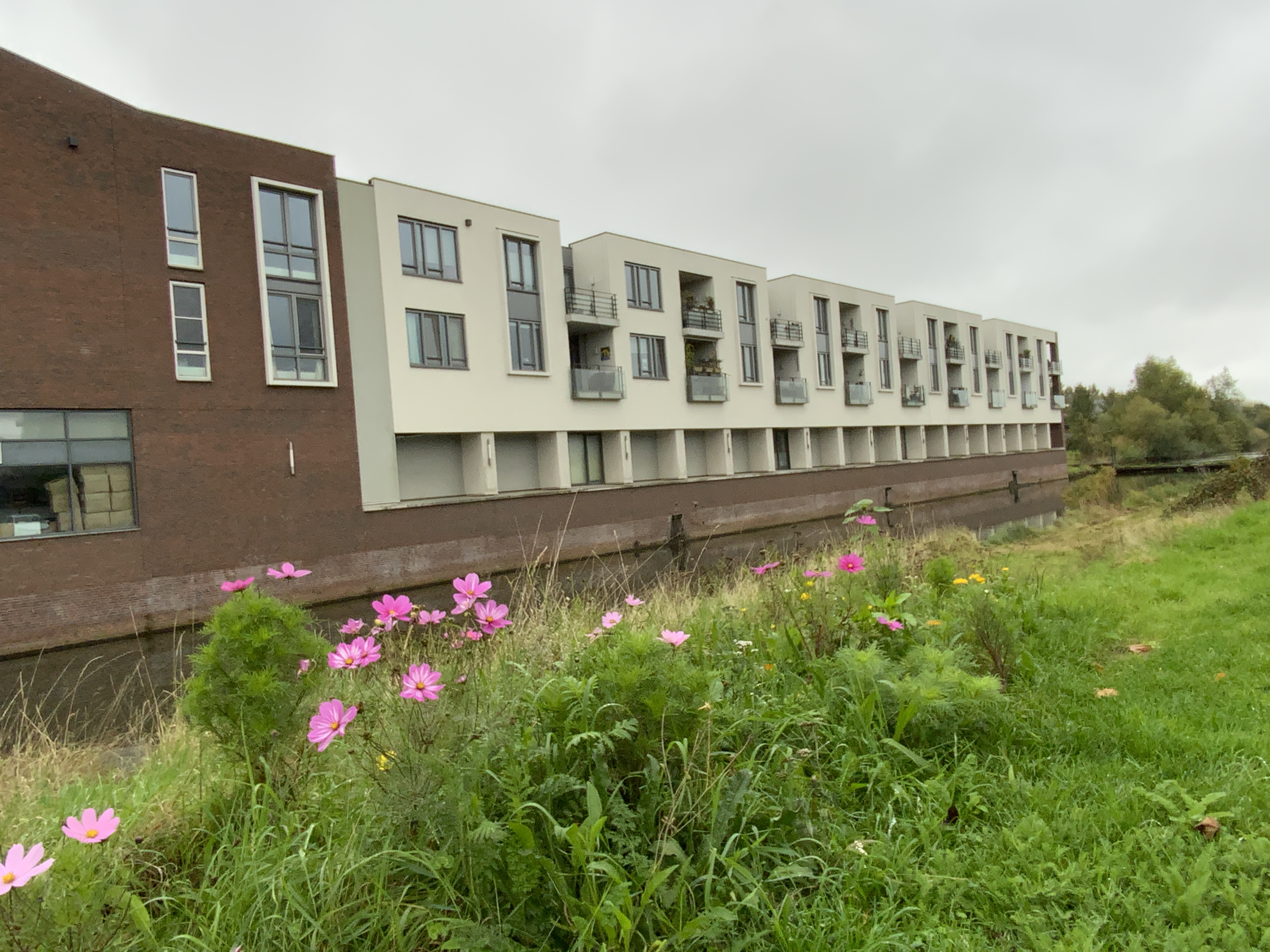 Rudolf Steinerlaan 65, 7207 PV Zutphen, Nederland