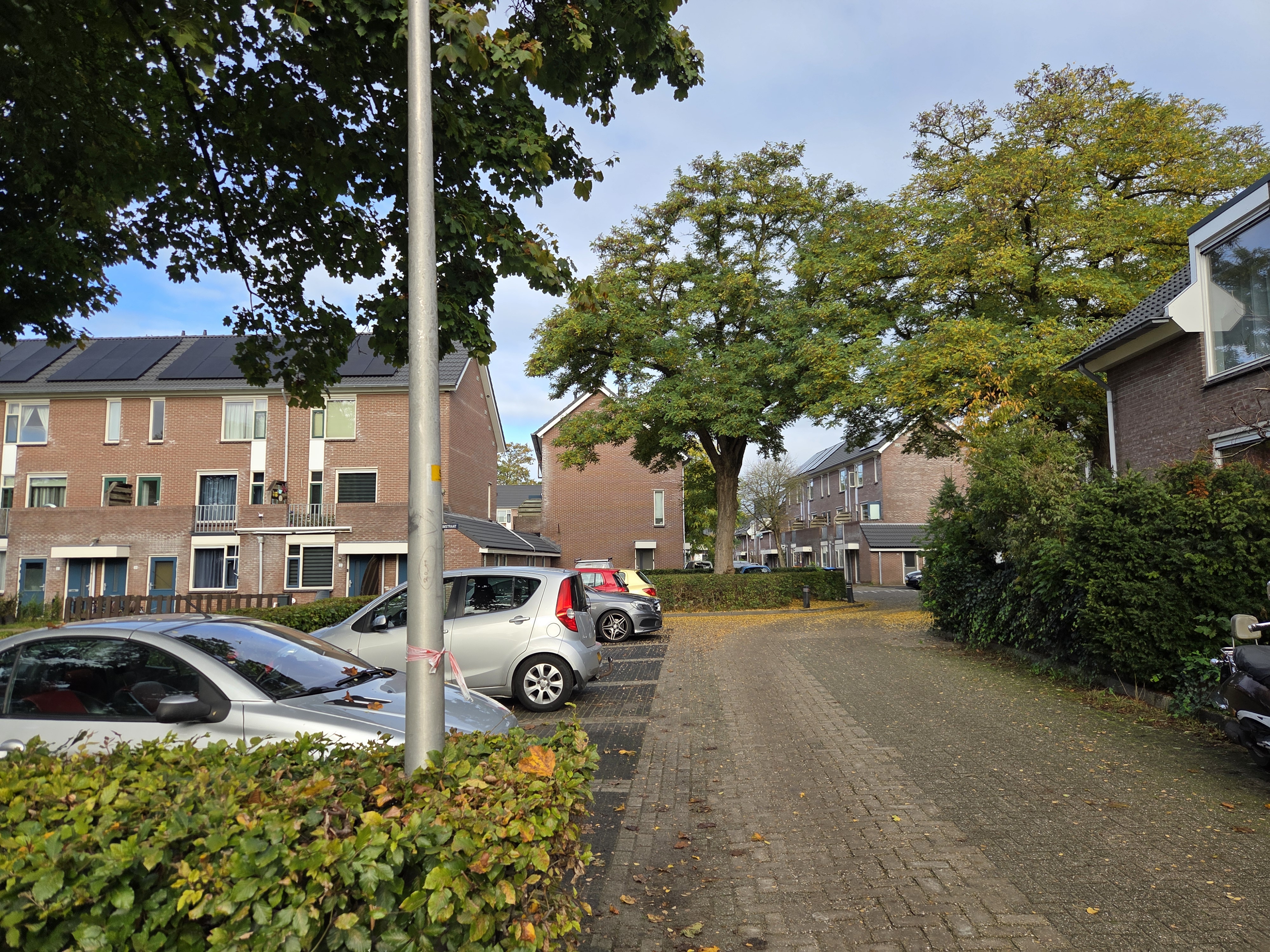 A.J. Vitringastraat 18