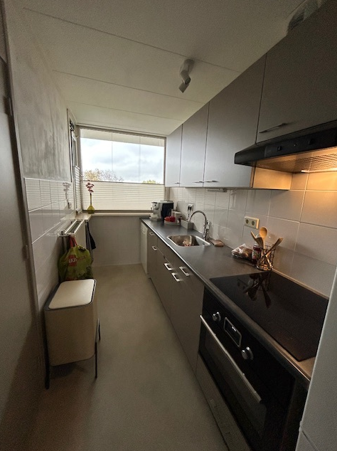 Pieter Saenredamstraat 83