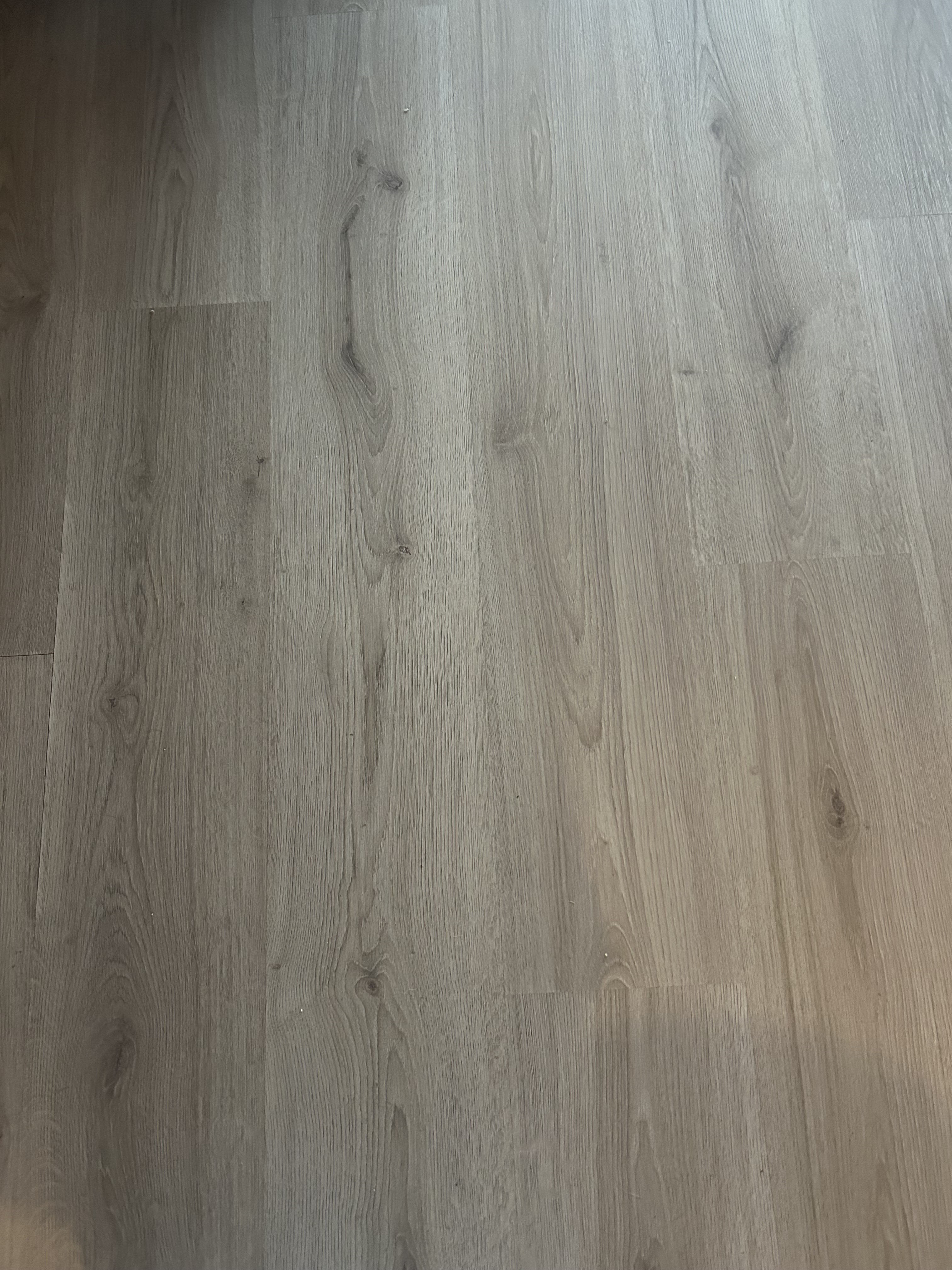 Laboratoriumplein 36