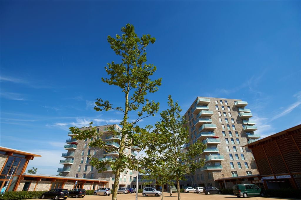 Distelvlinderlaan 154