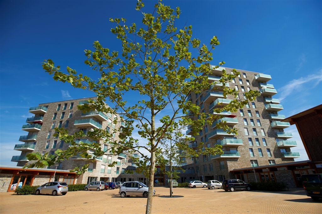 Distelvlinderlaan 154