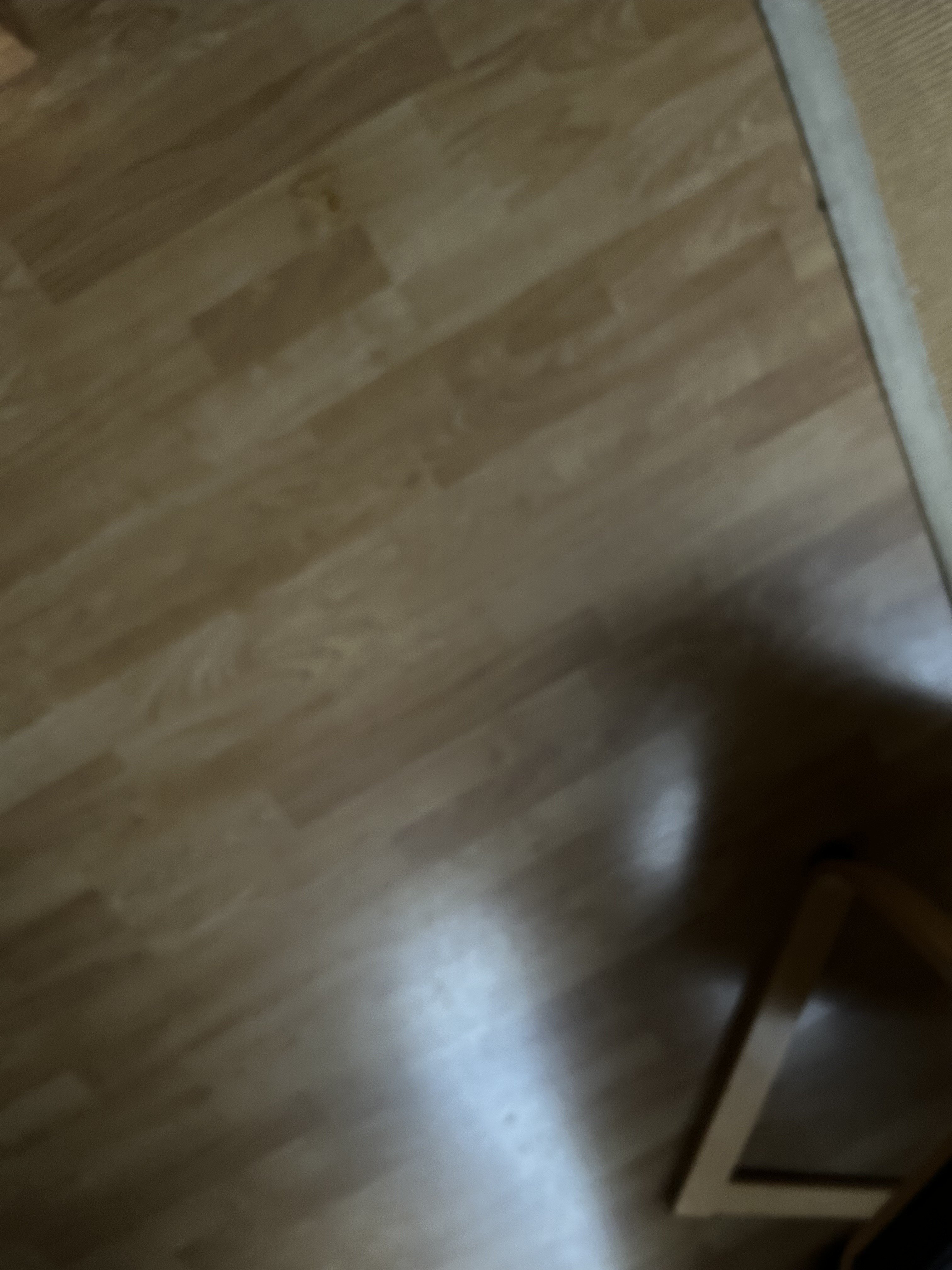 Ida Gerhardtsingel 34