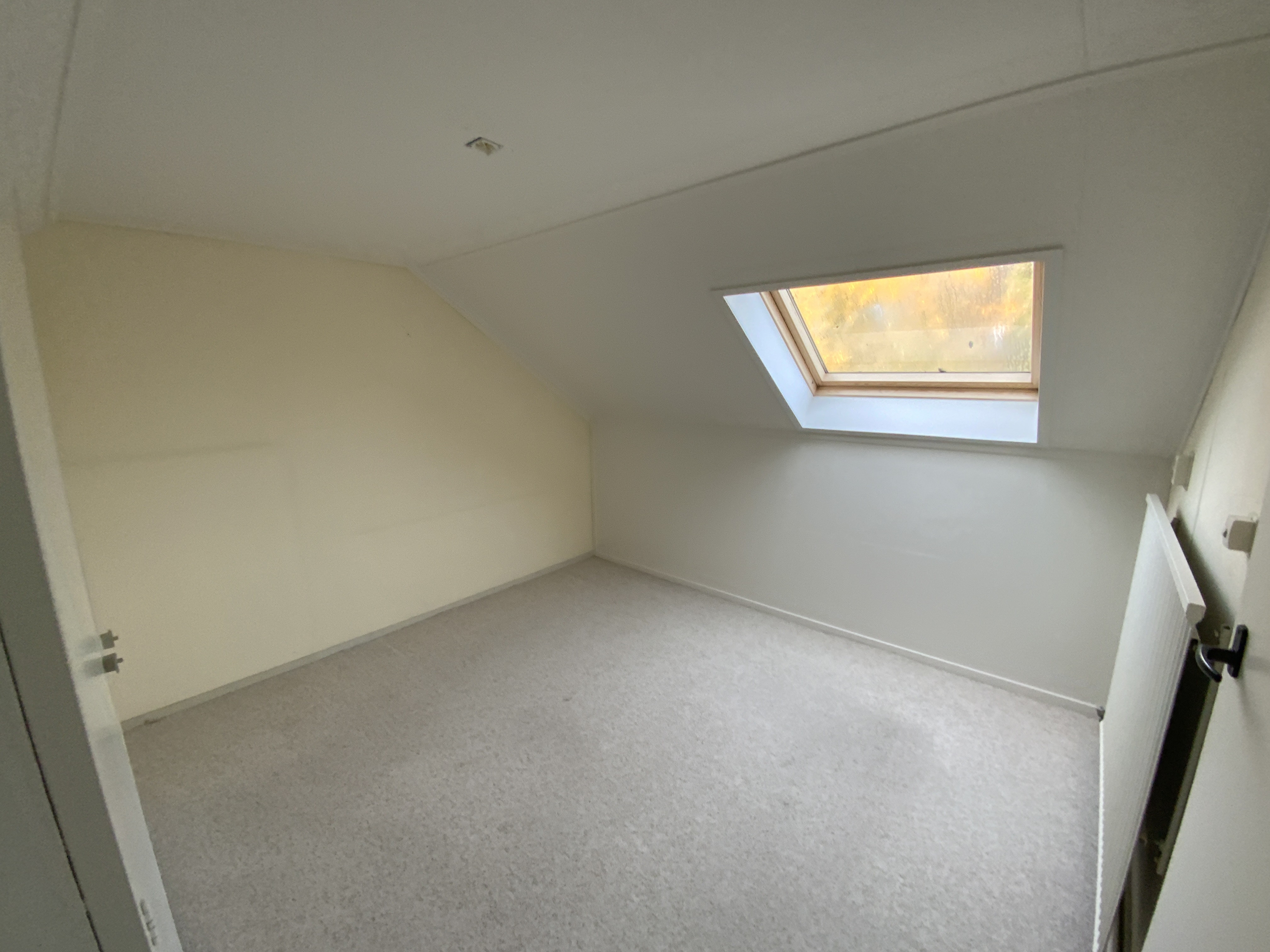 Schopenhauerstraat 66