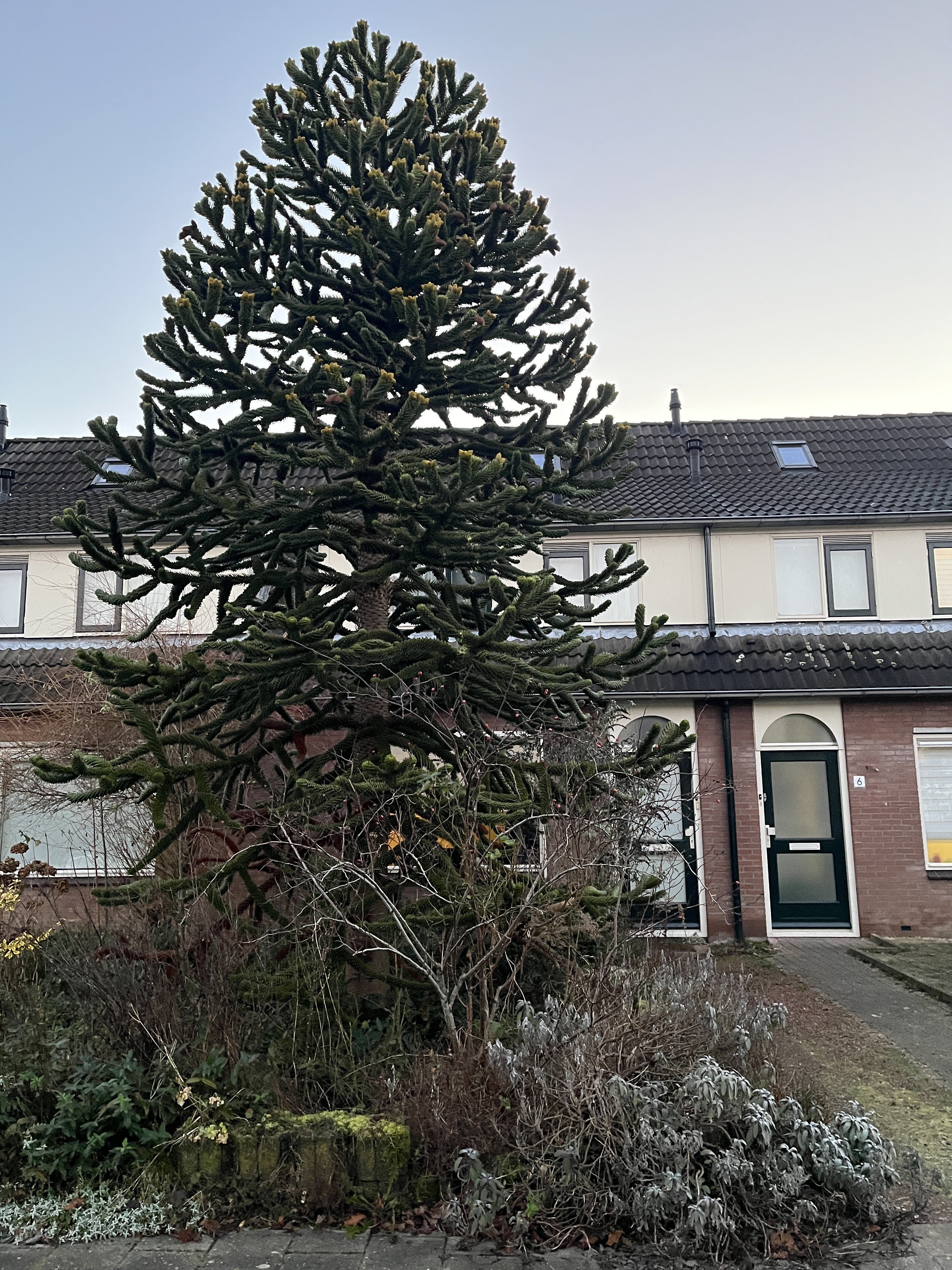 De Bozem 8, 6971 HM Brummen, Nederland