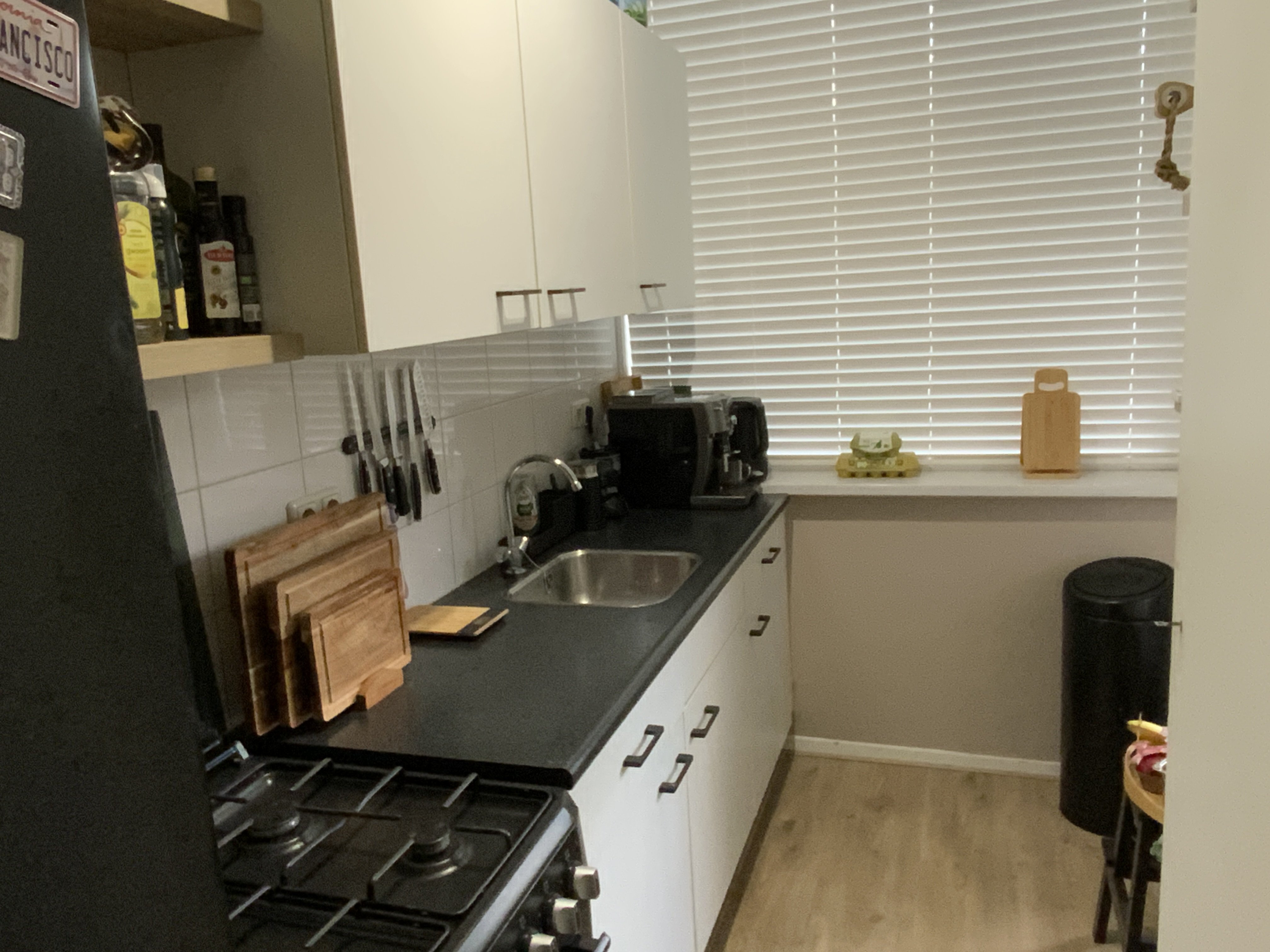 Anthoni van Leeuwenhoekstraat 24