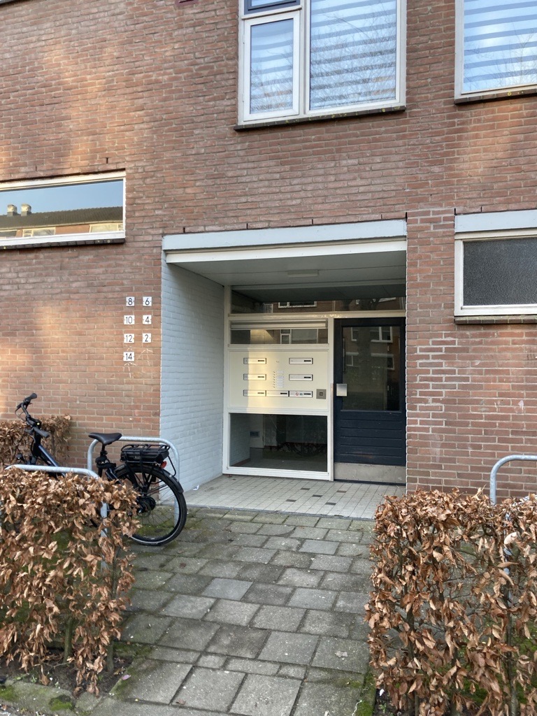 Bukhorst 4