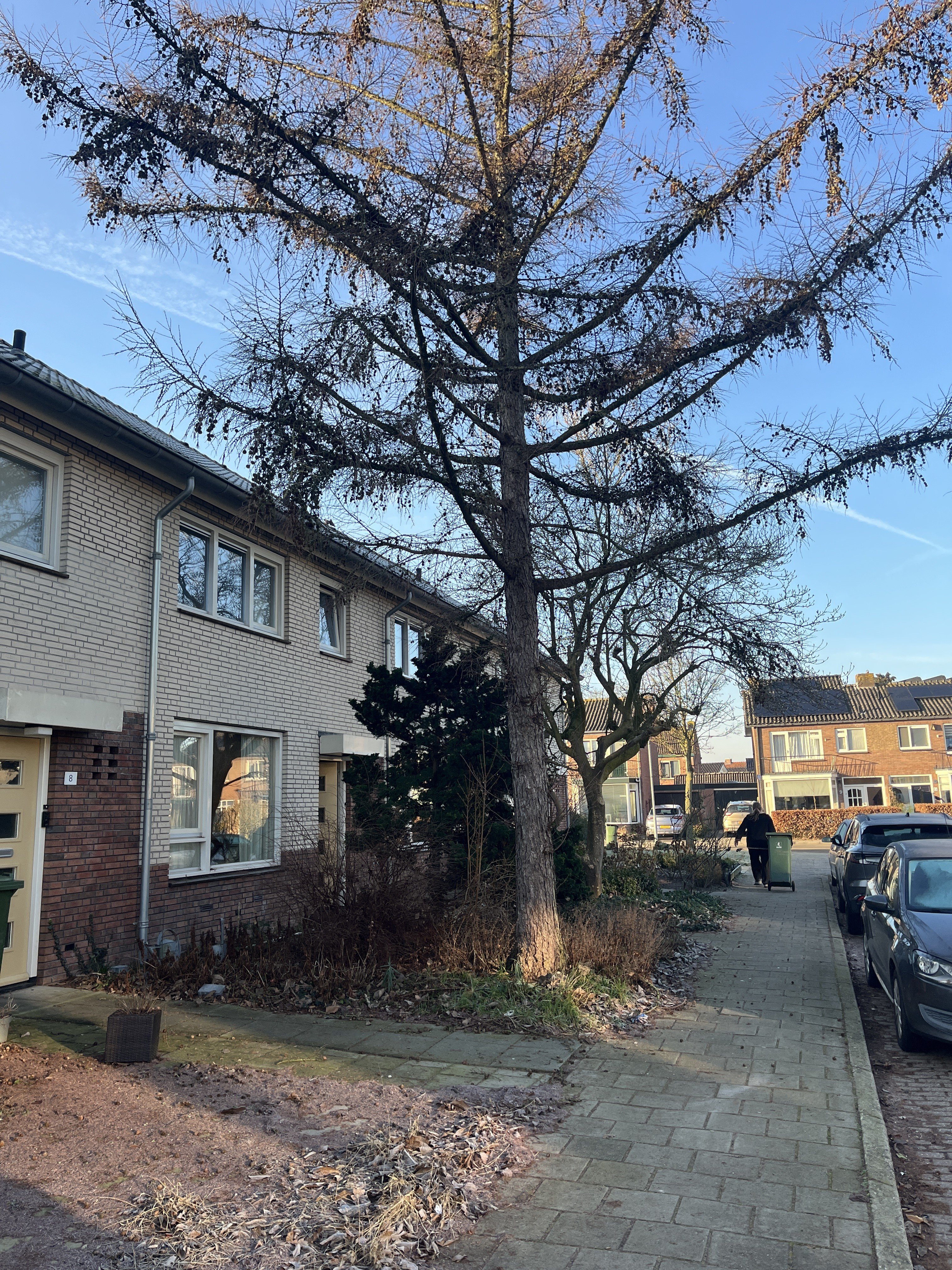 Geelgorsstraat 6, 6971 XK Brummen, Nederland