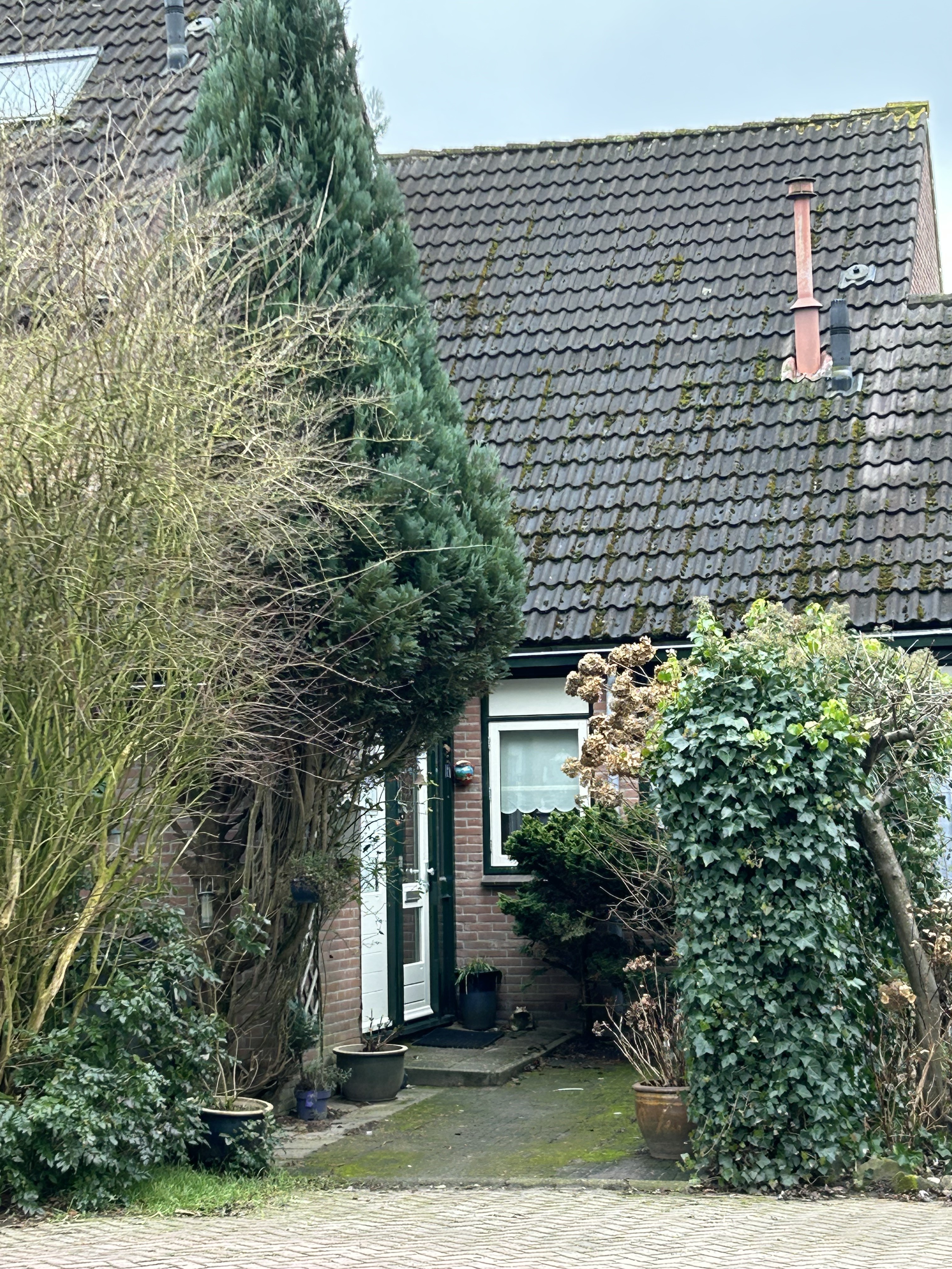 Braamkamp 467, 7206 HX Zutphen, Nederland