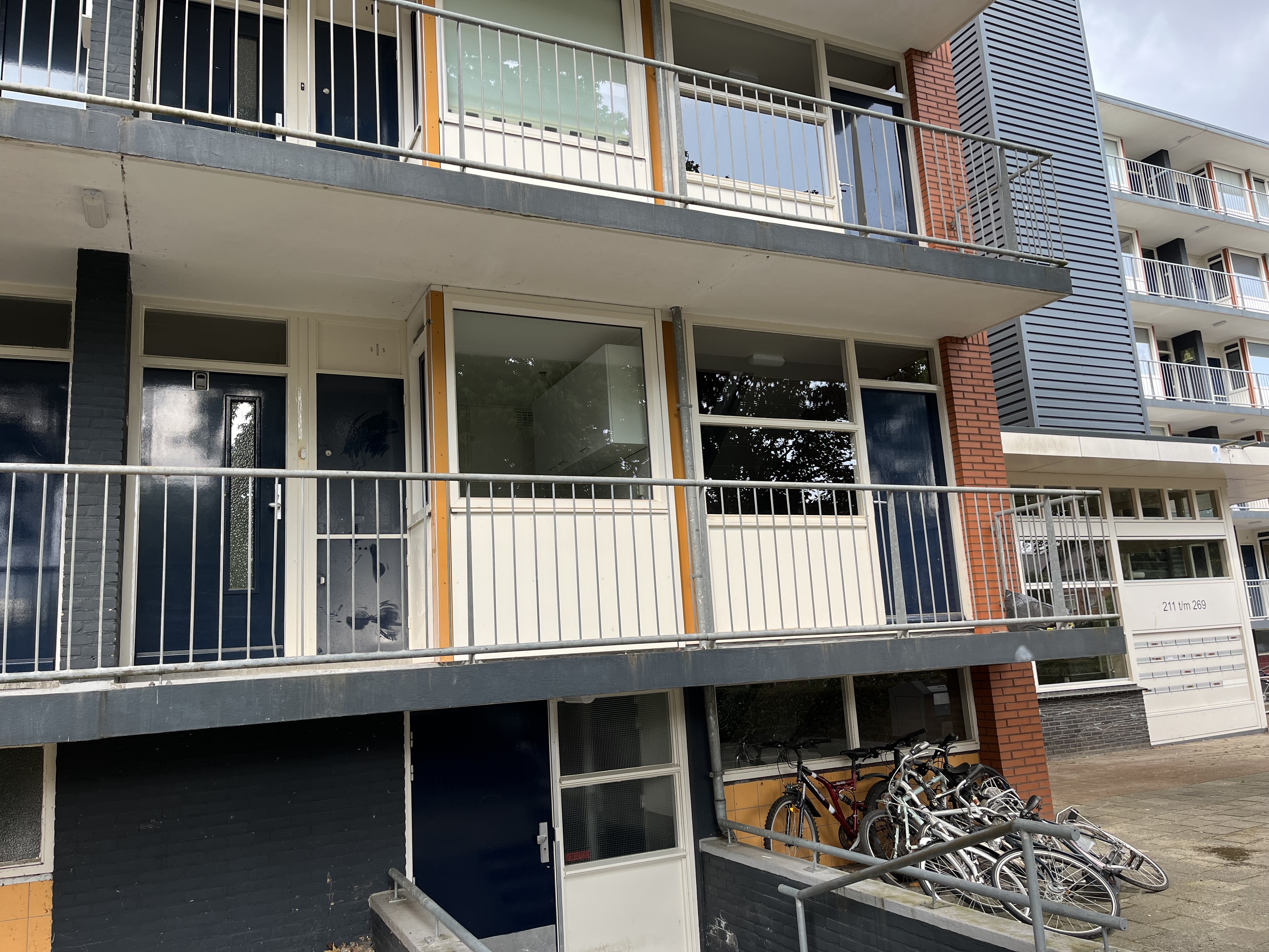 Pieter Saenredamstraat 161, 7312 RA Apeldoorn, Nederland