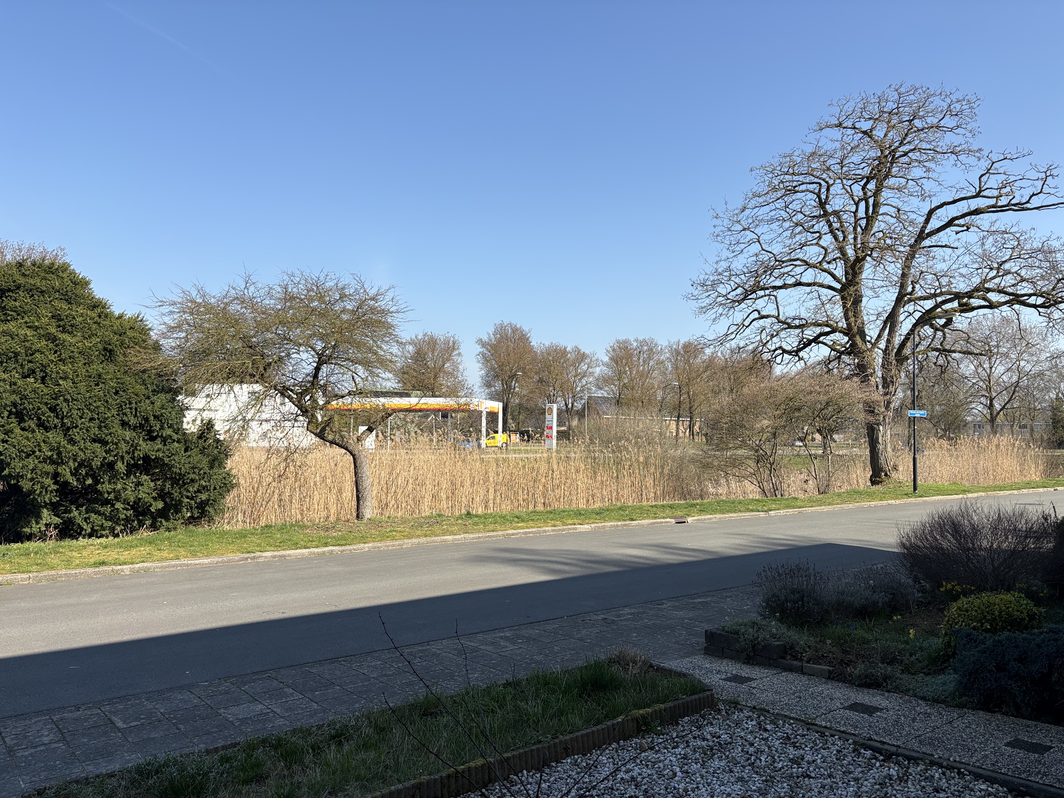 Thomas van Aquinostraat 29