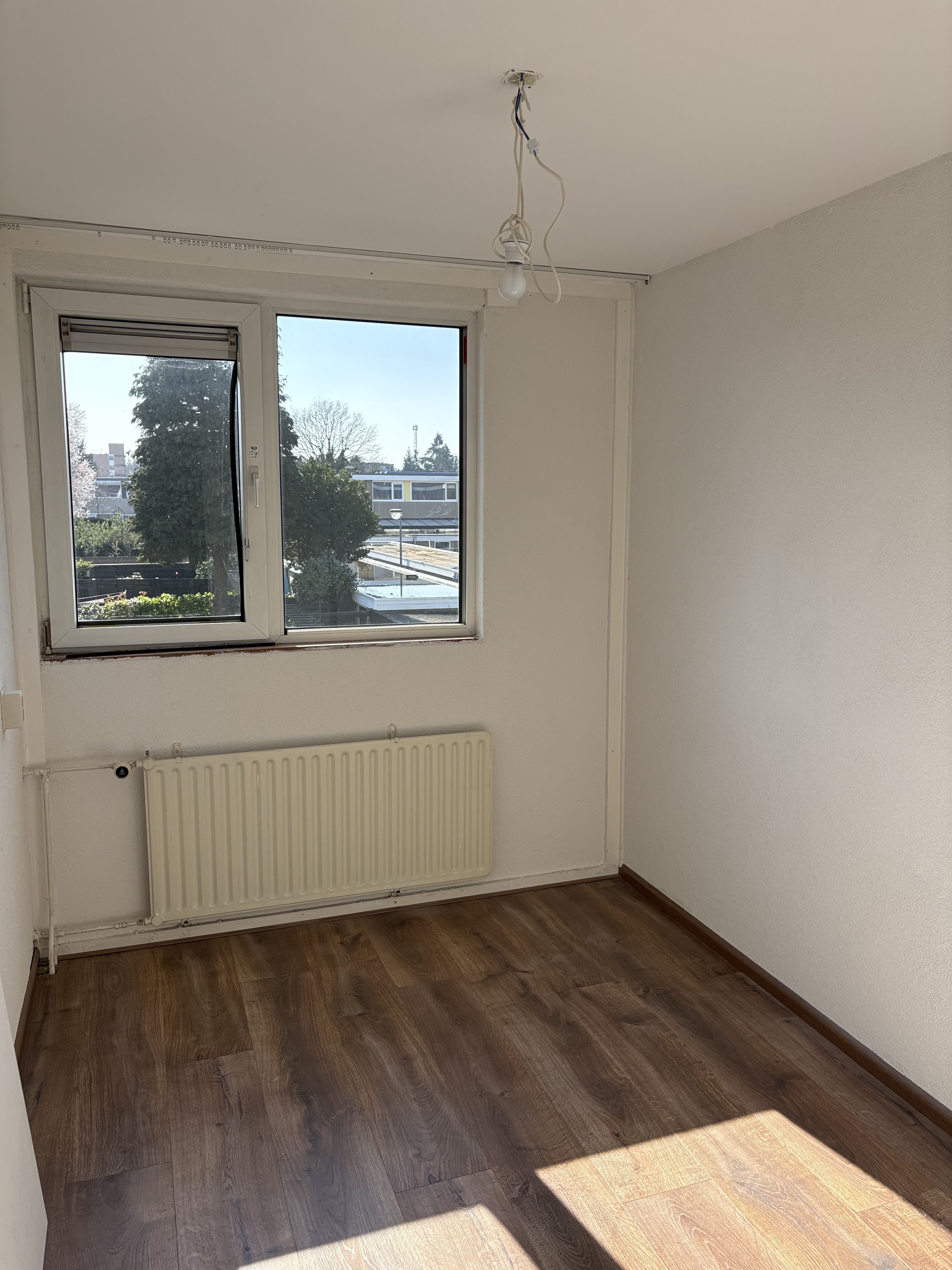 Thomas van Aquinostraat 29