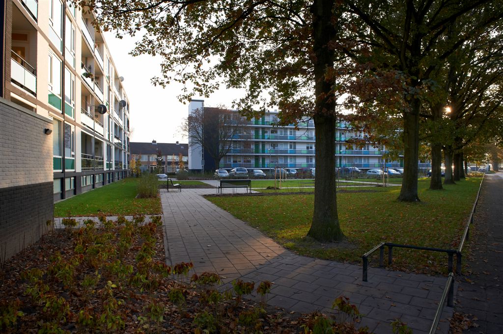 Koninginnelaan 343