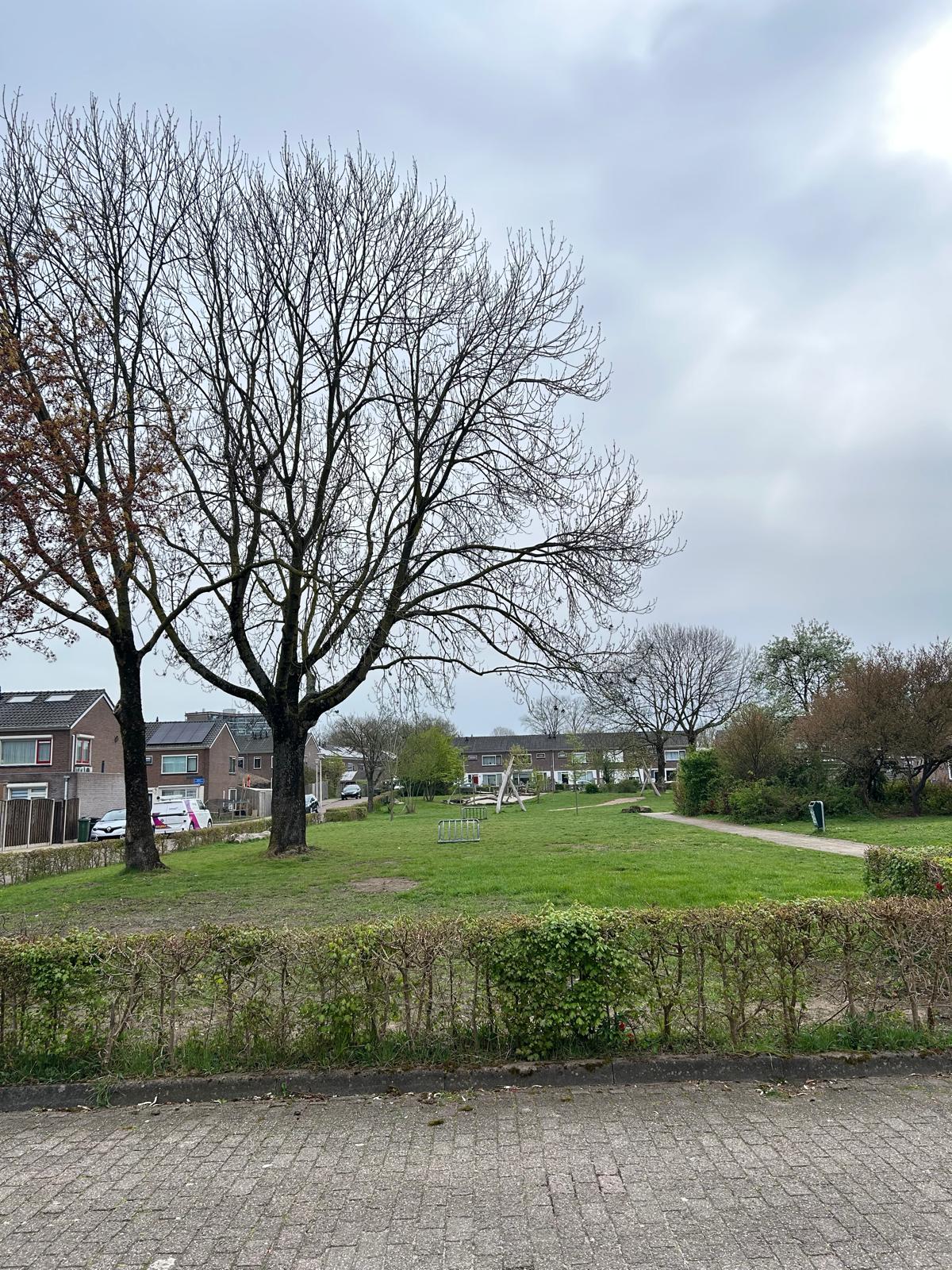 Johan van Oldenbarneveldtstraat 26