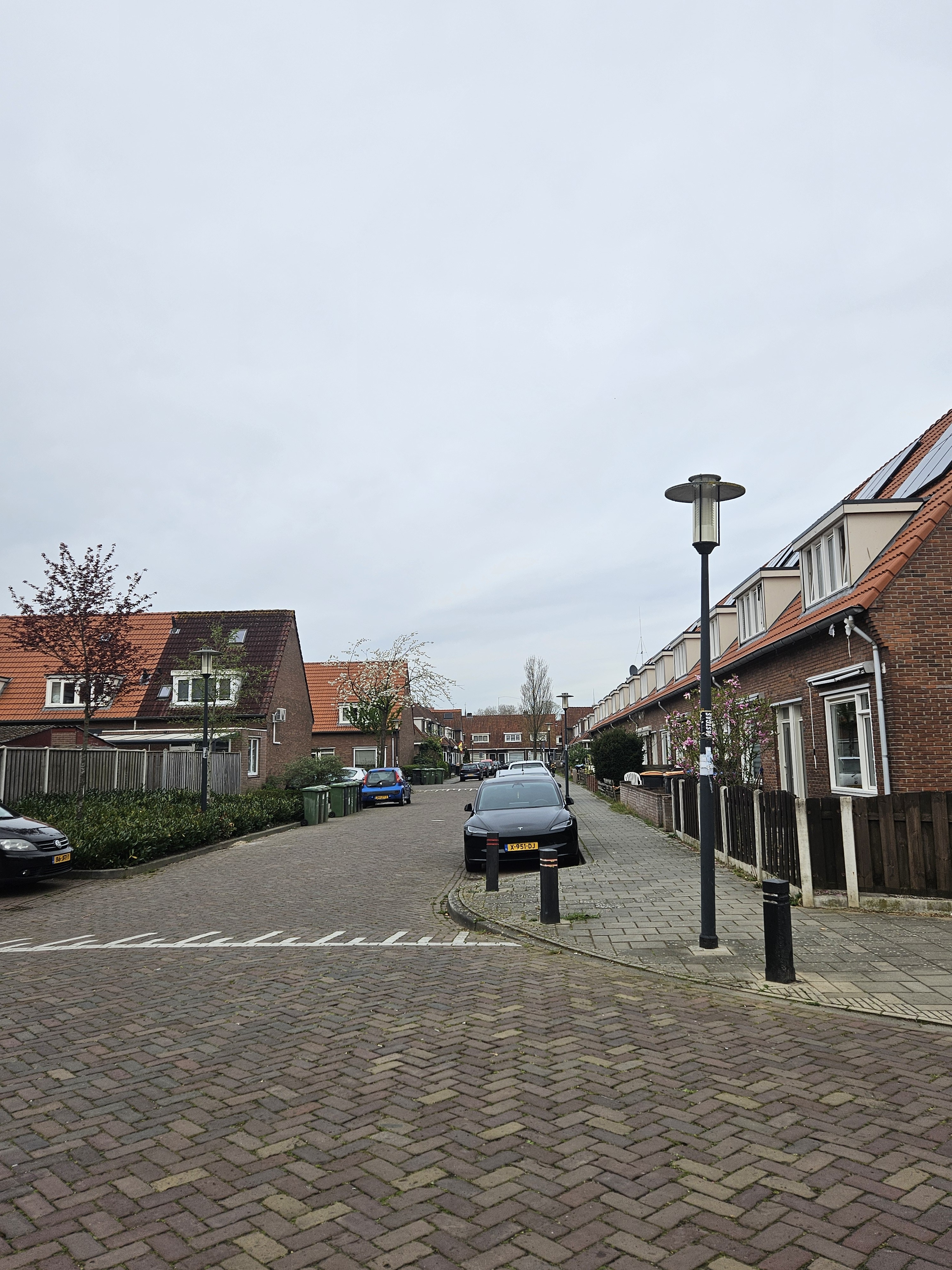Rijnstraat 43