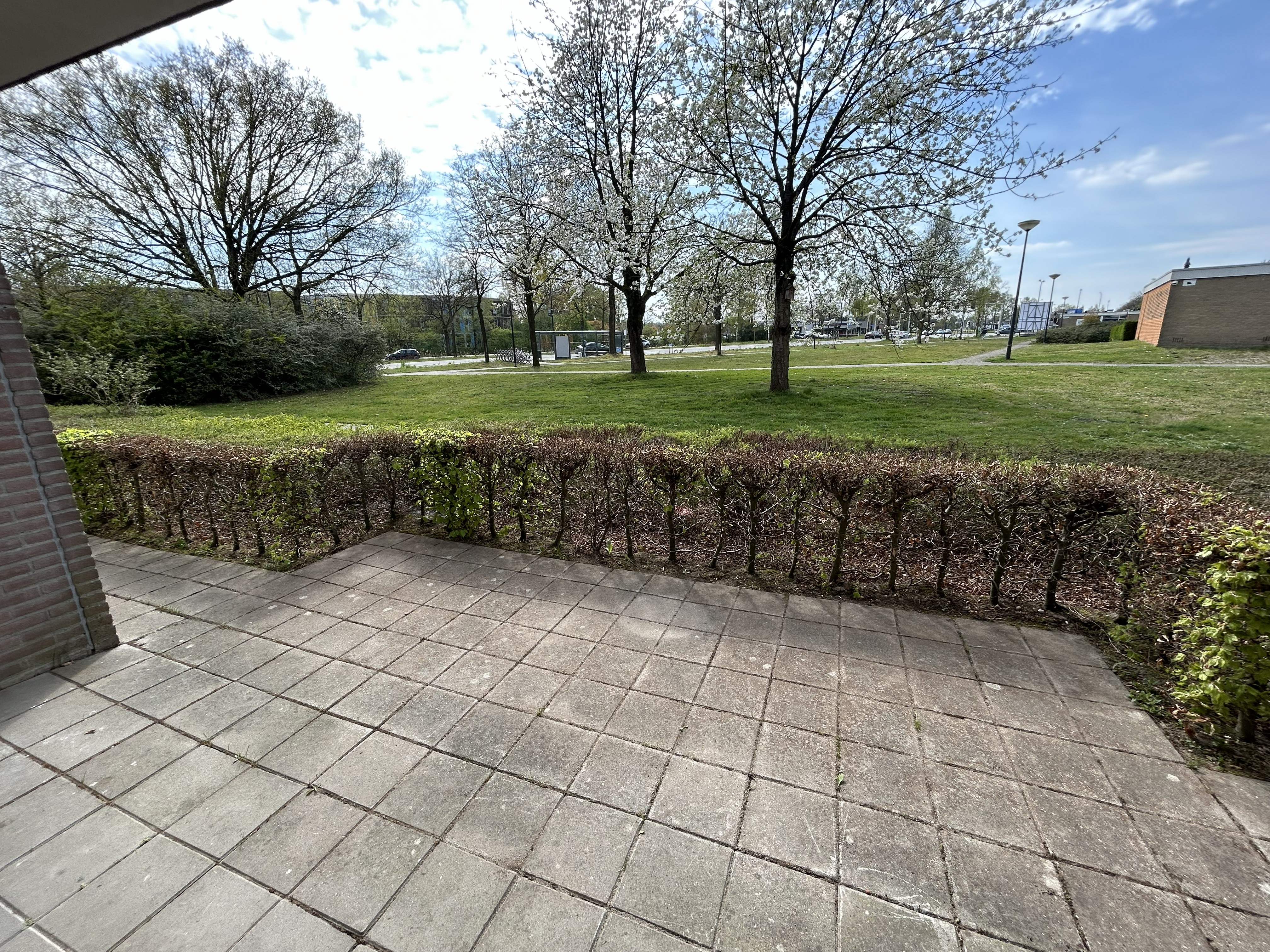 Turandotstraat 13